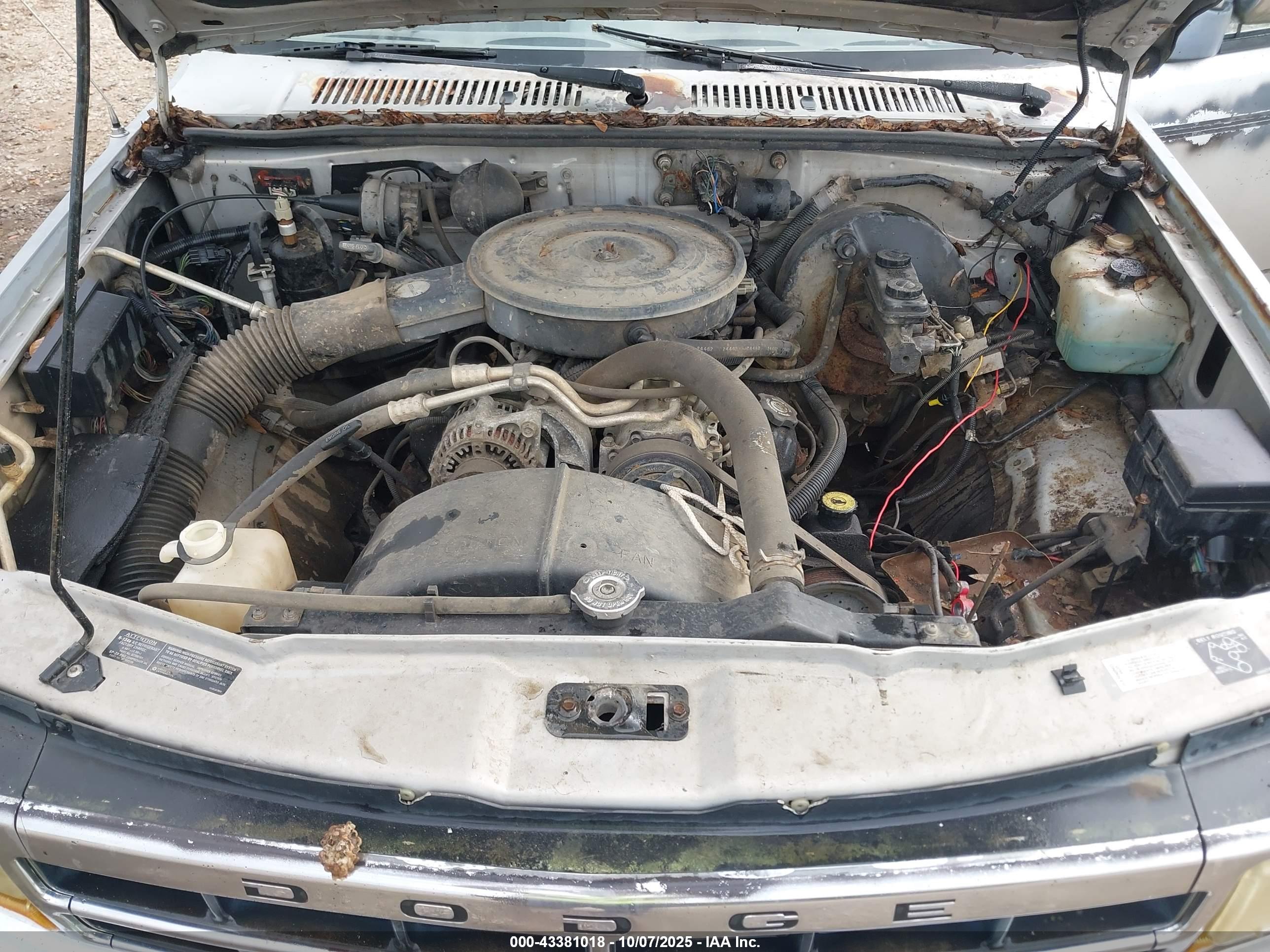 DODGE DAKOTA image 10