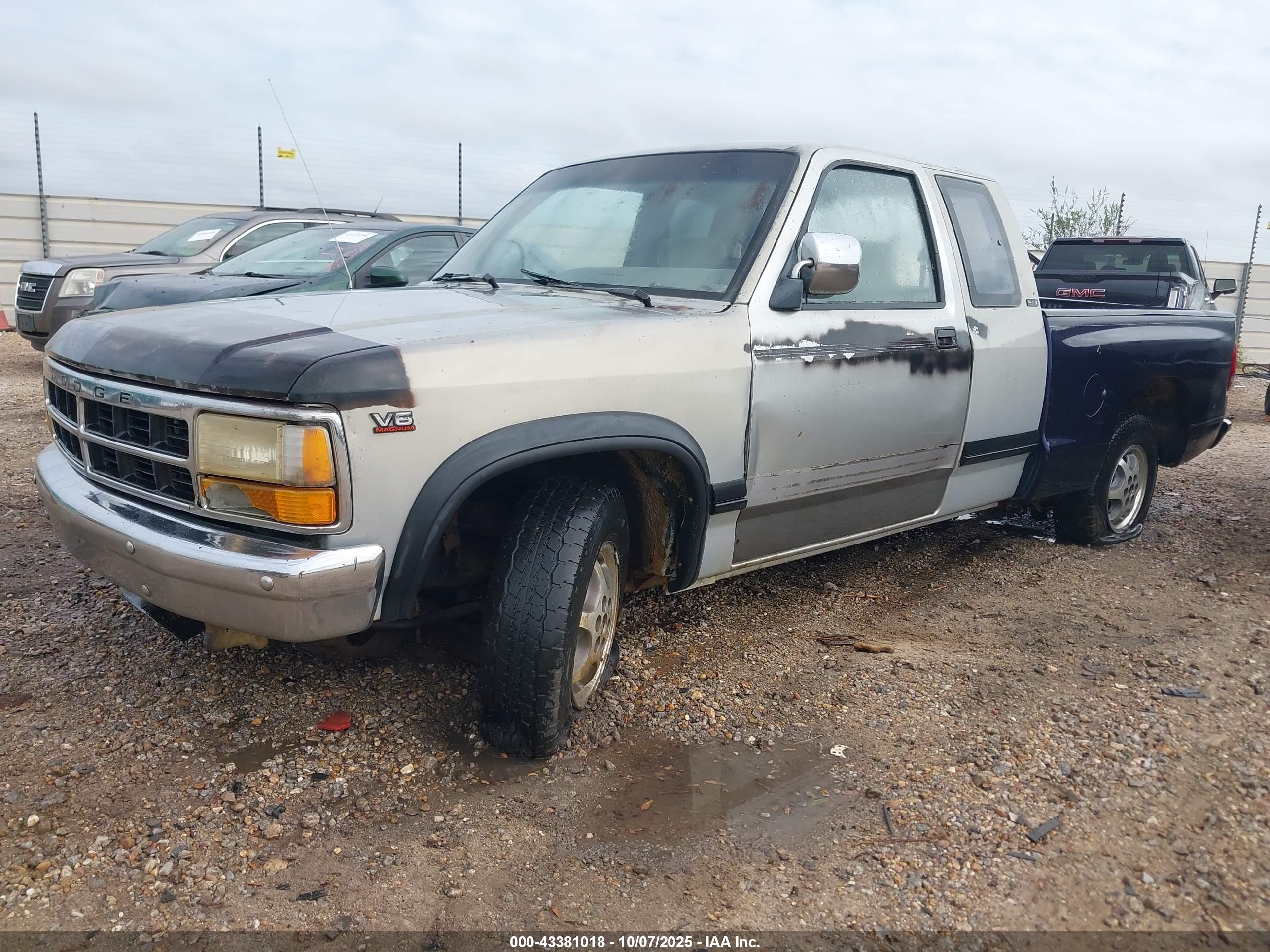 DODGE DAKOTA image 2