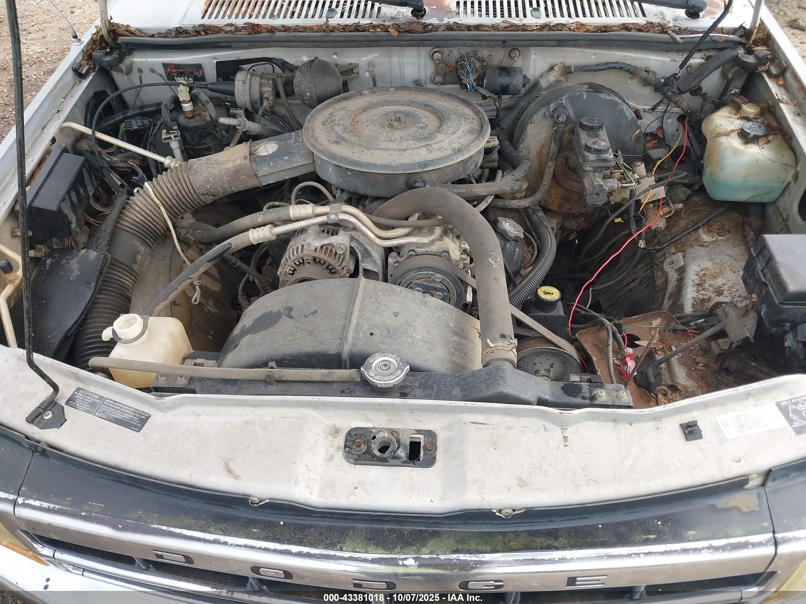DODGE DAKOTA image 6