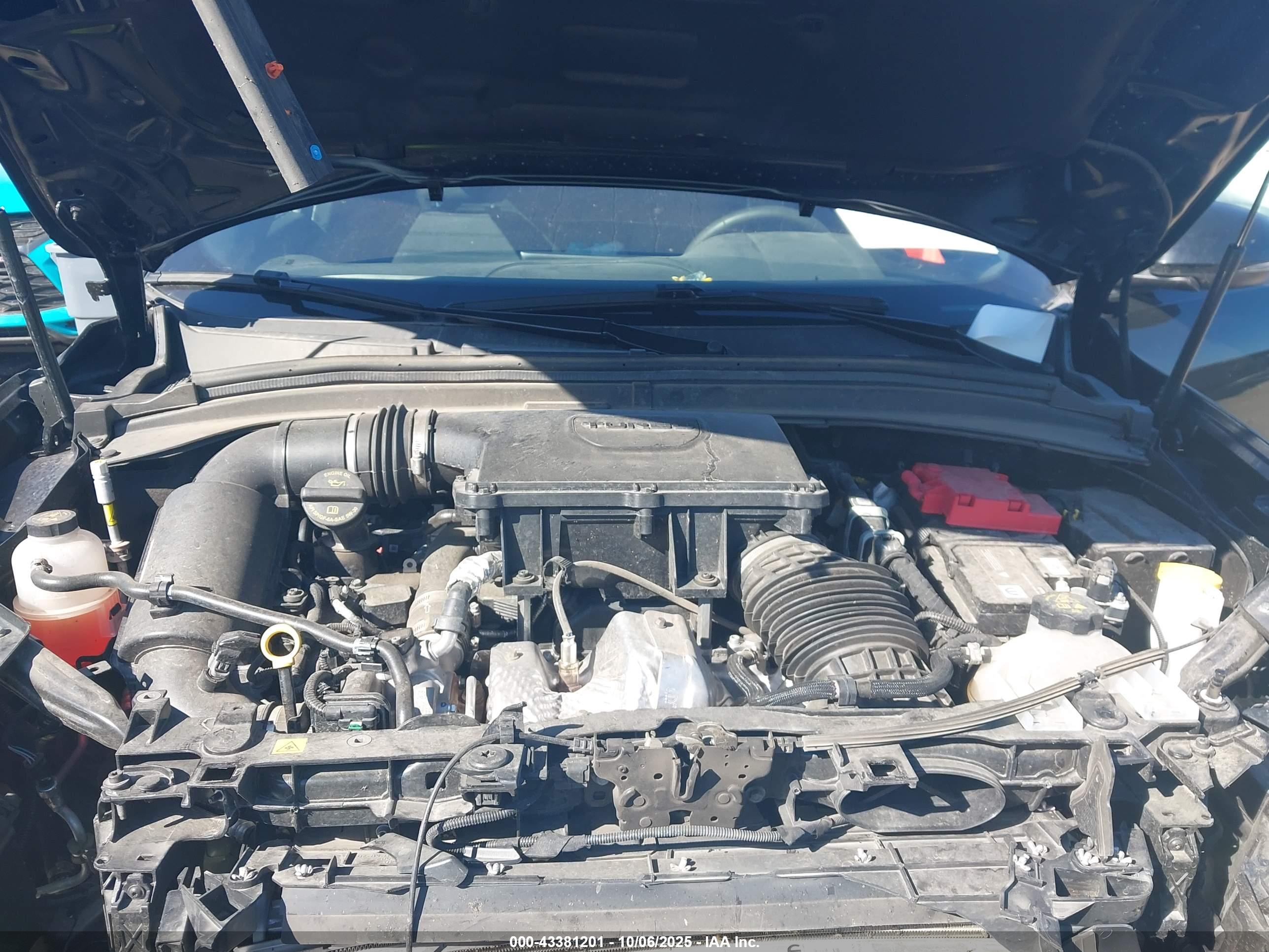 DODGE HORNET image 10