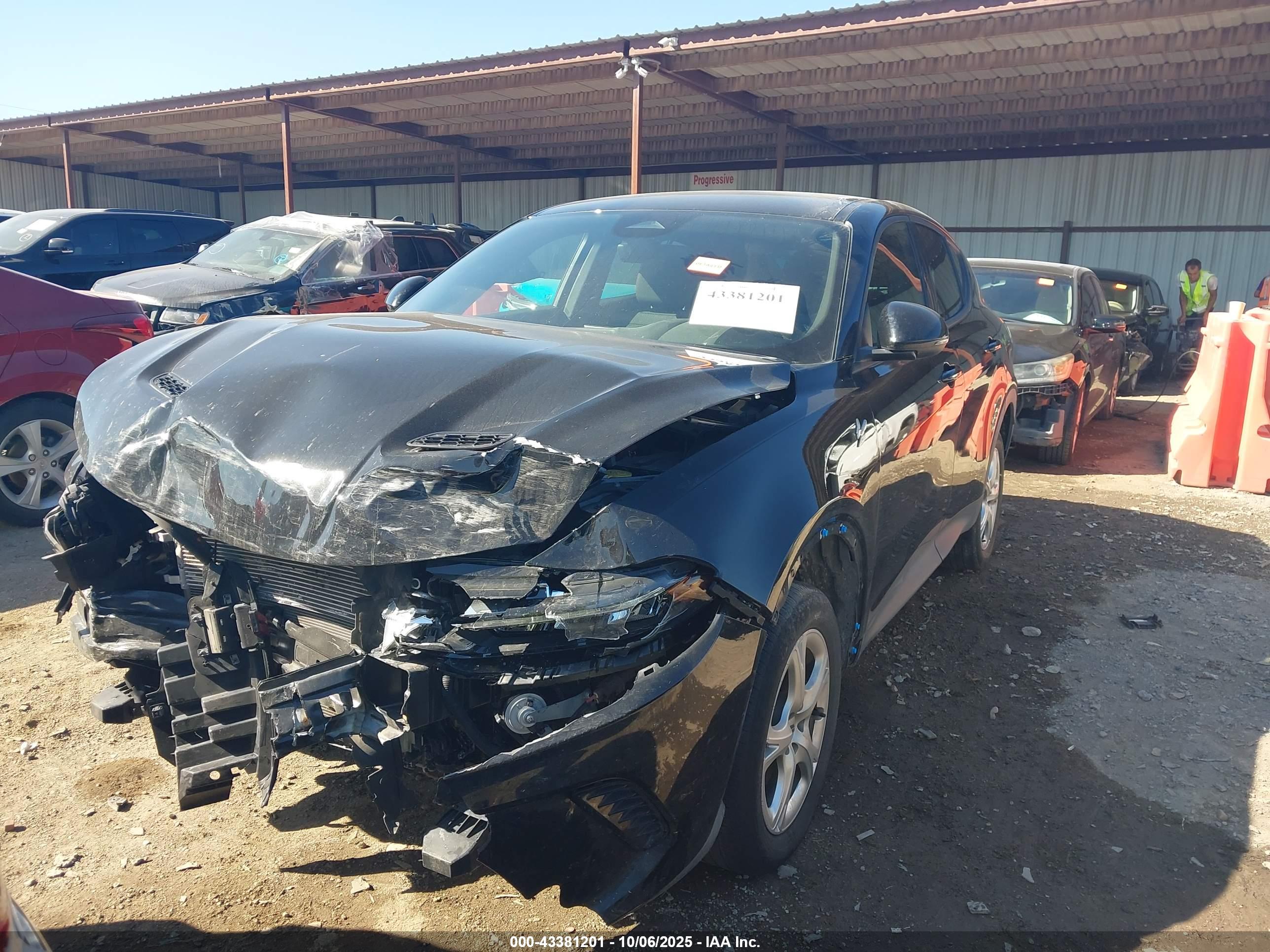 DODGE HORNET image 2