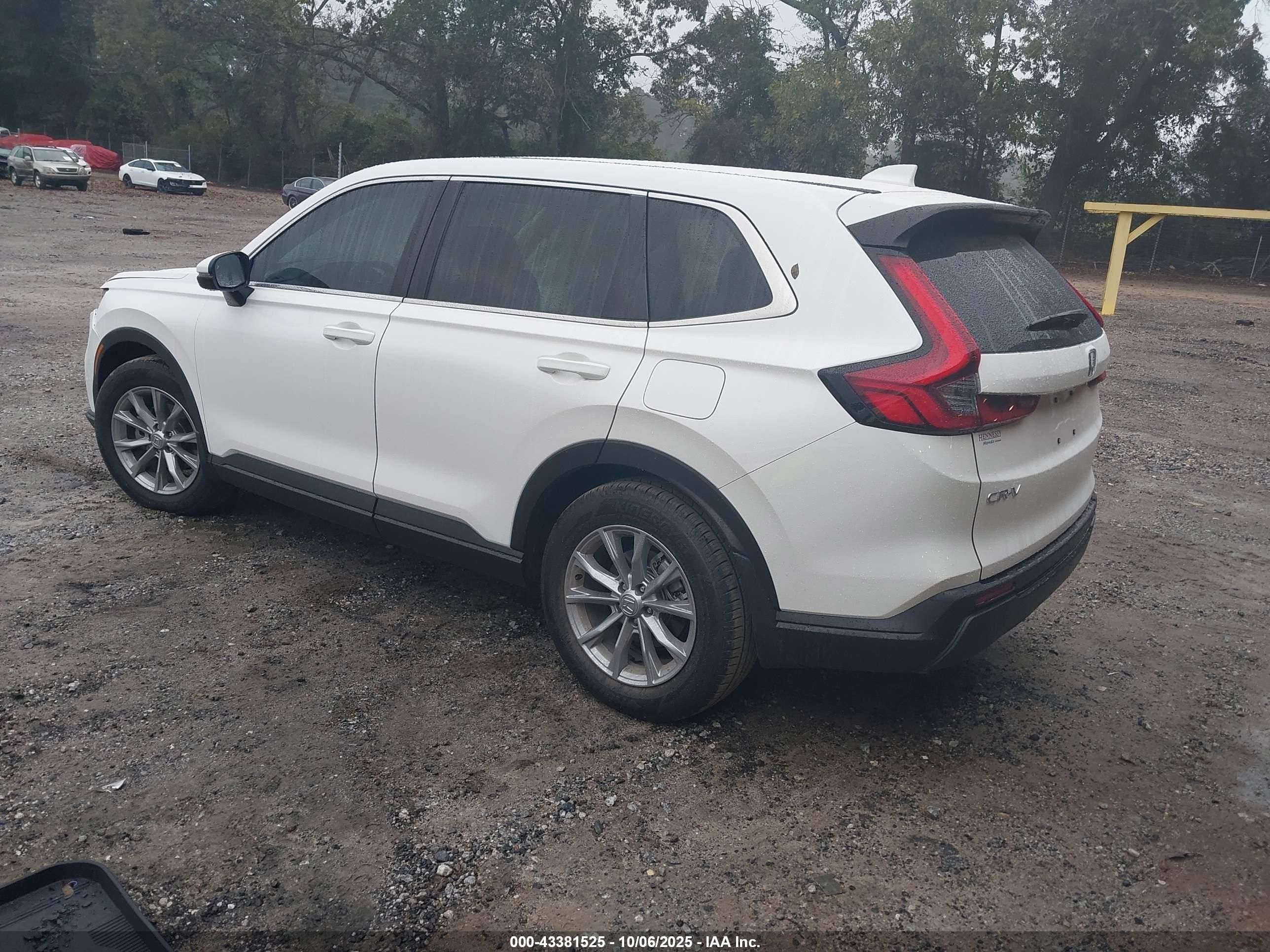HONDA CR-V image 3