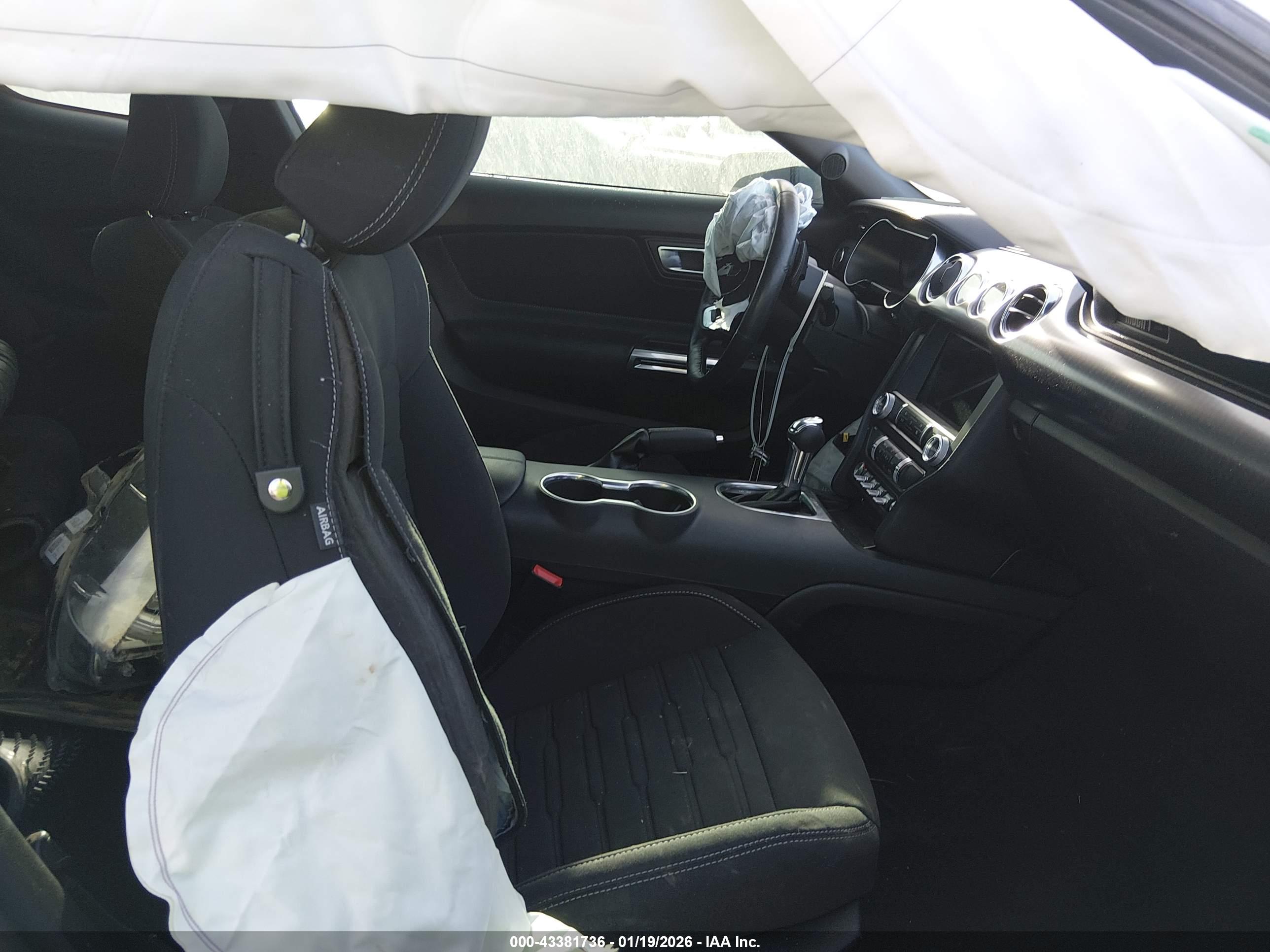 FORD MUSTANG image 5
