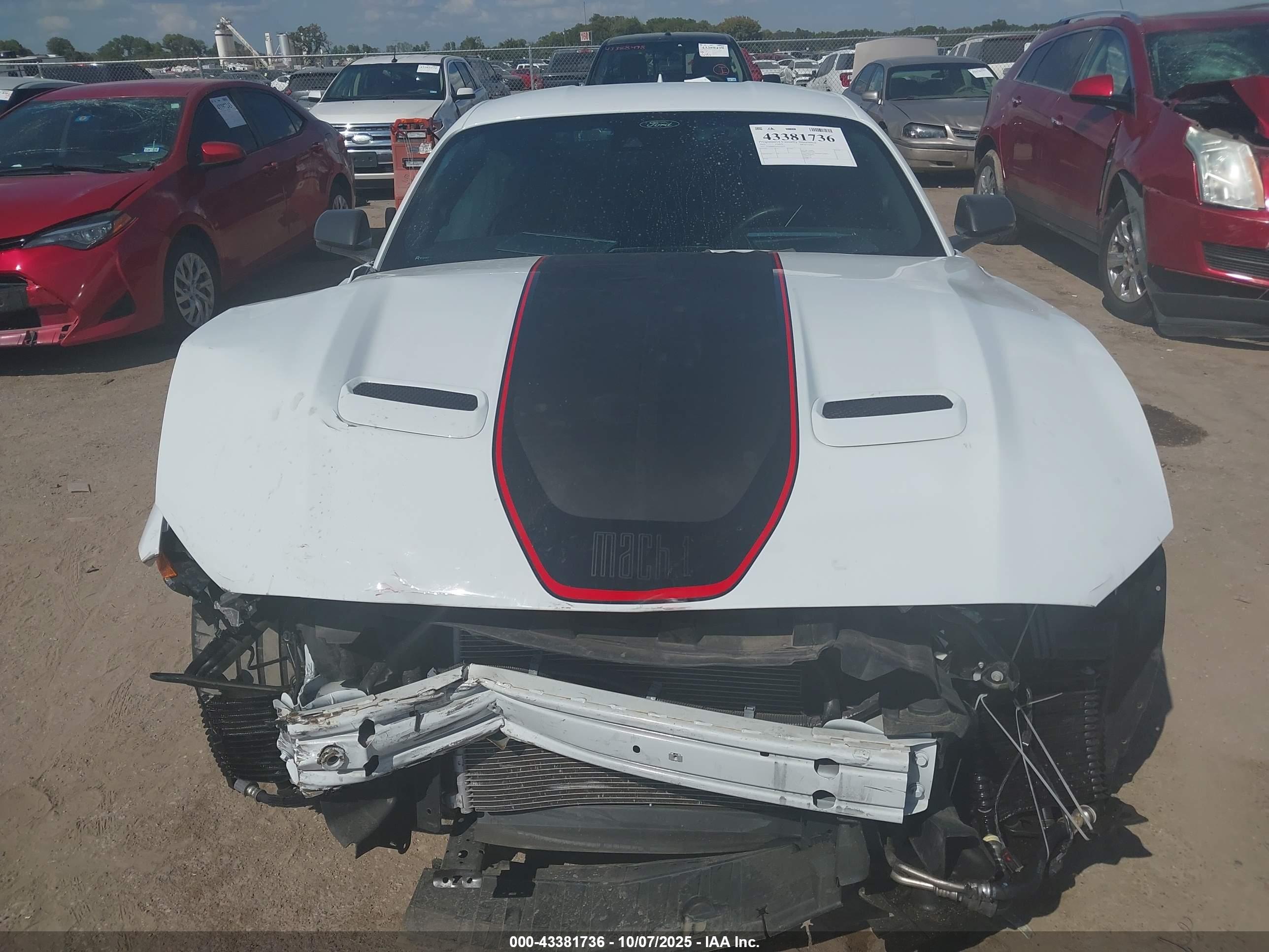 FORD MUSTANG image 6