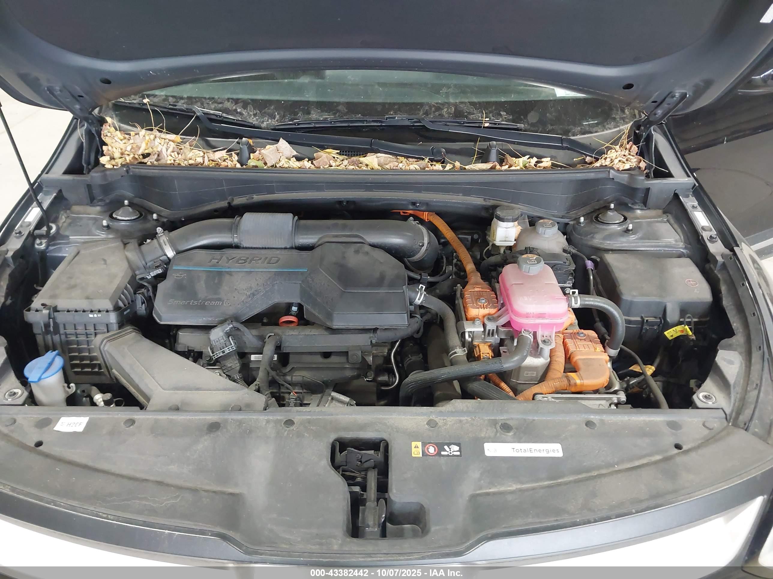 KIA SPORTAGE image 10