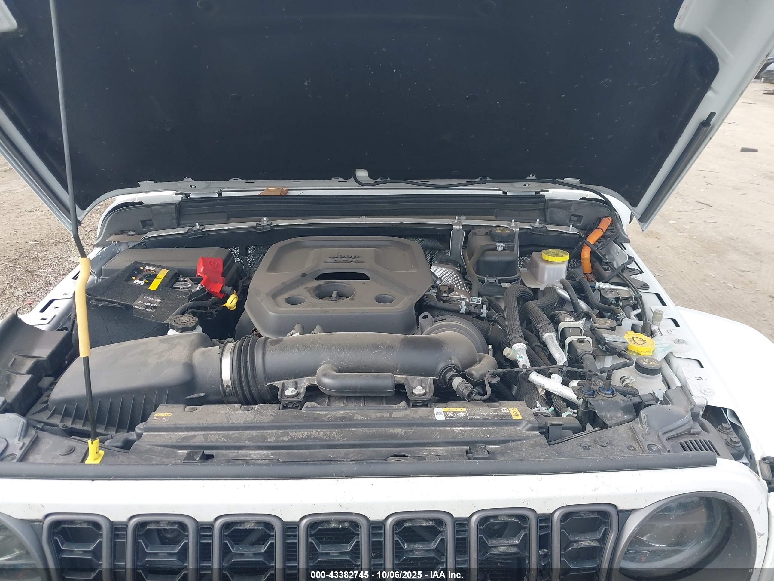 JEEP WRANGLER image 10