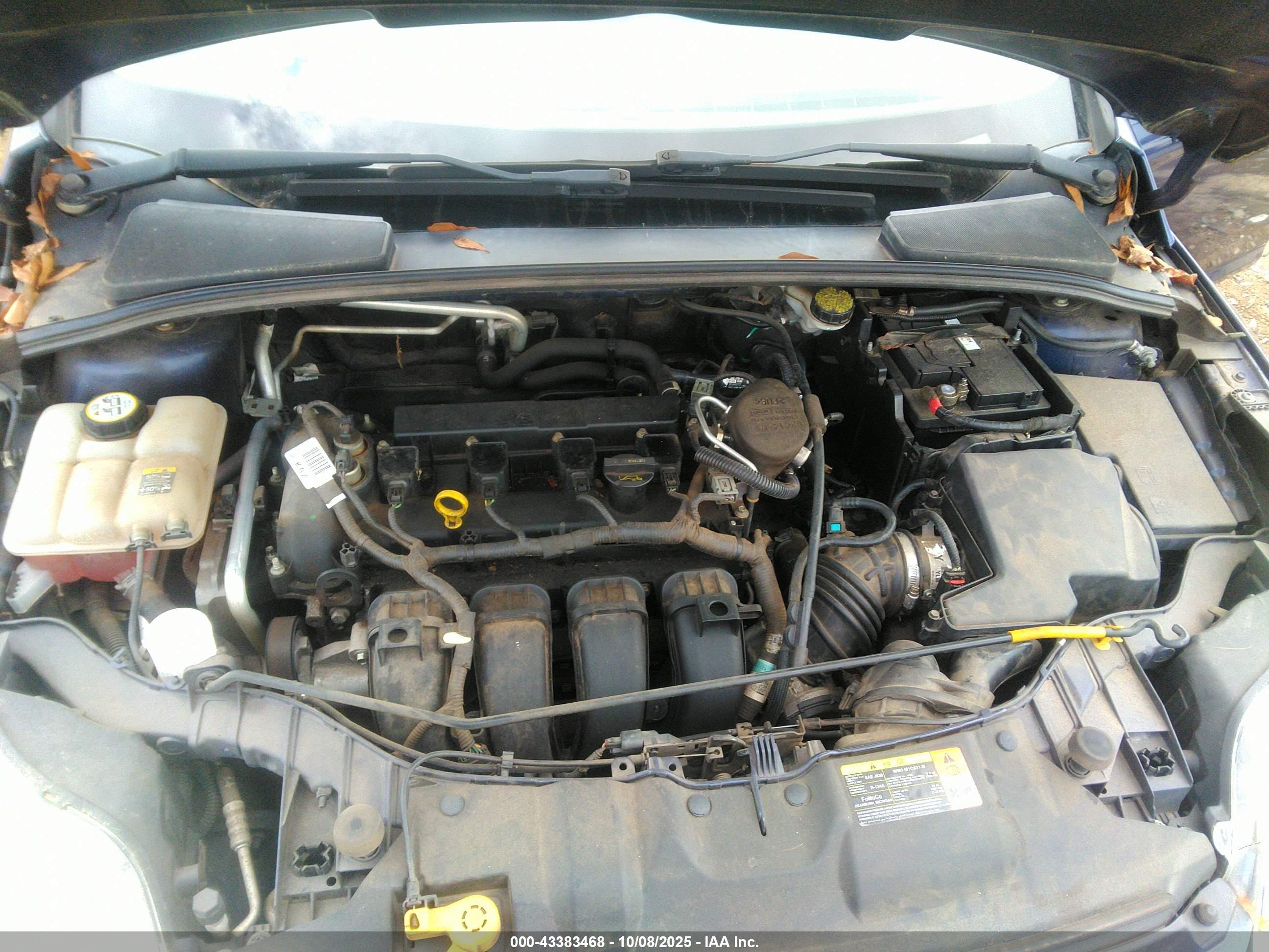 FORD FOCUS image 10