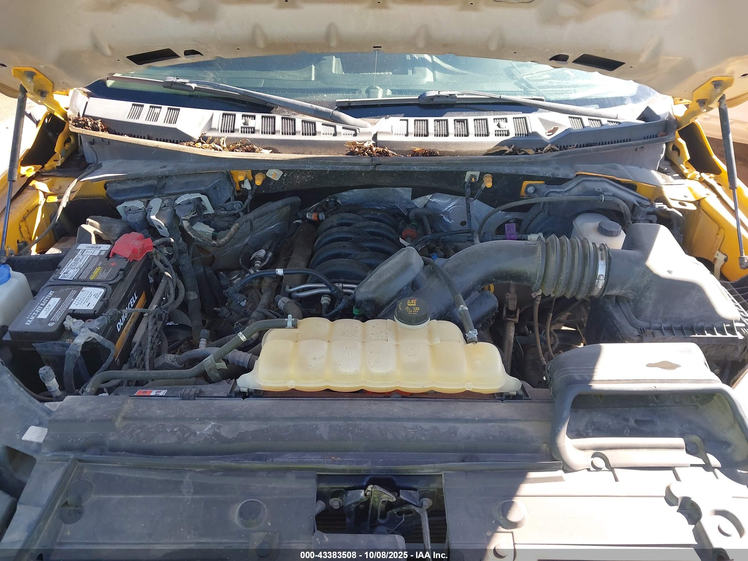 FORD F-150 image 10