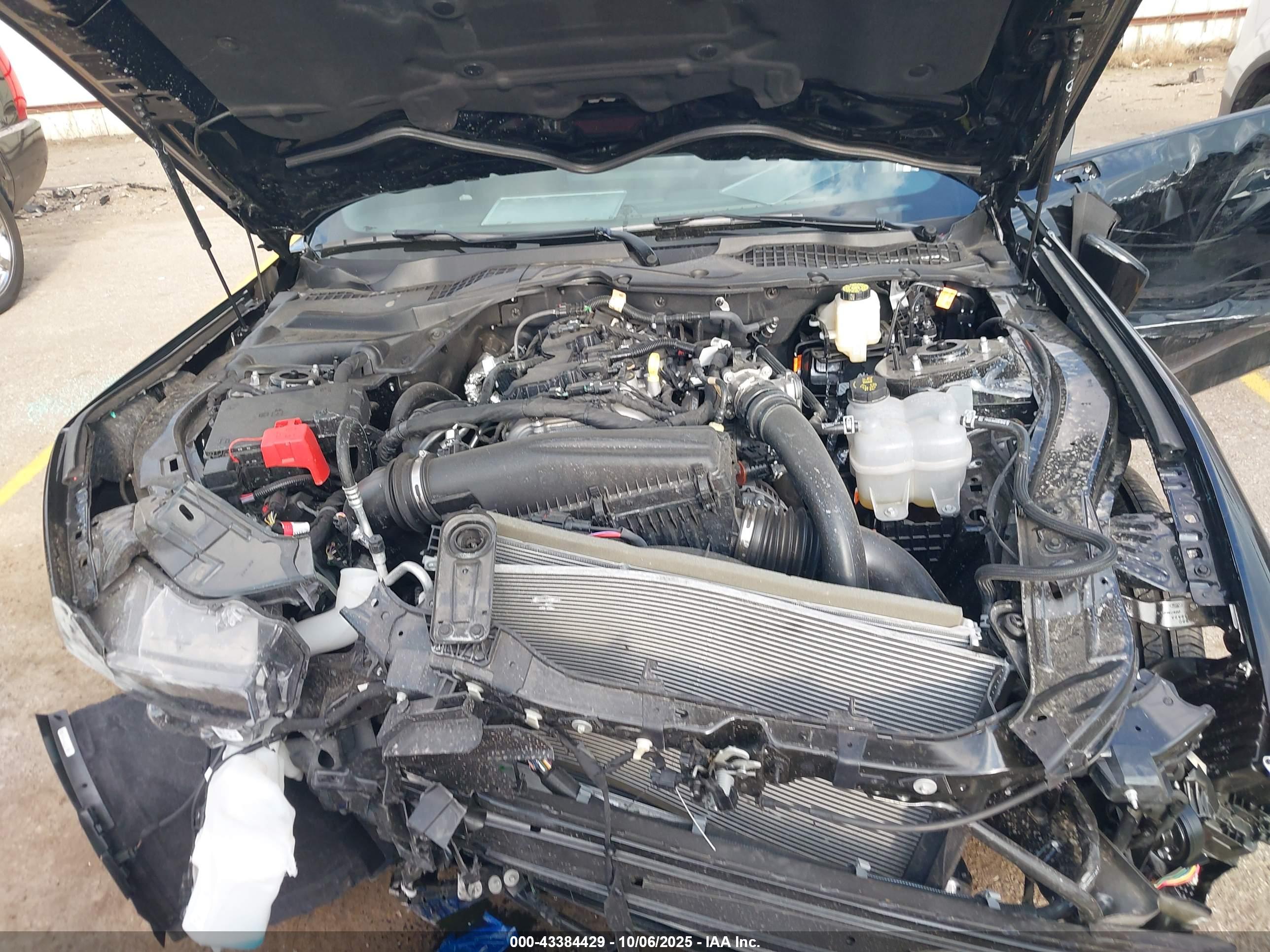 FORD MUSTANG image 10