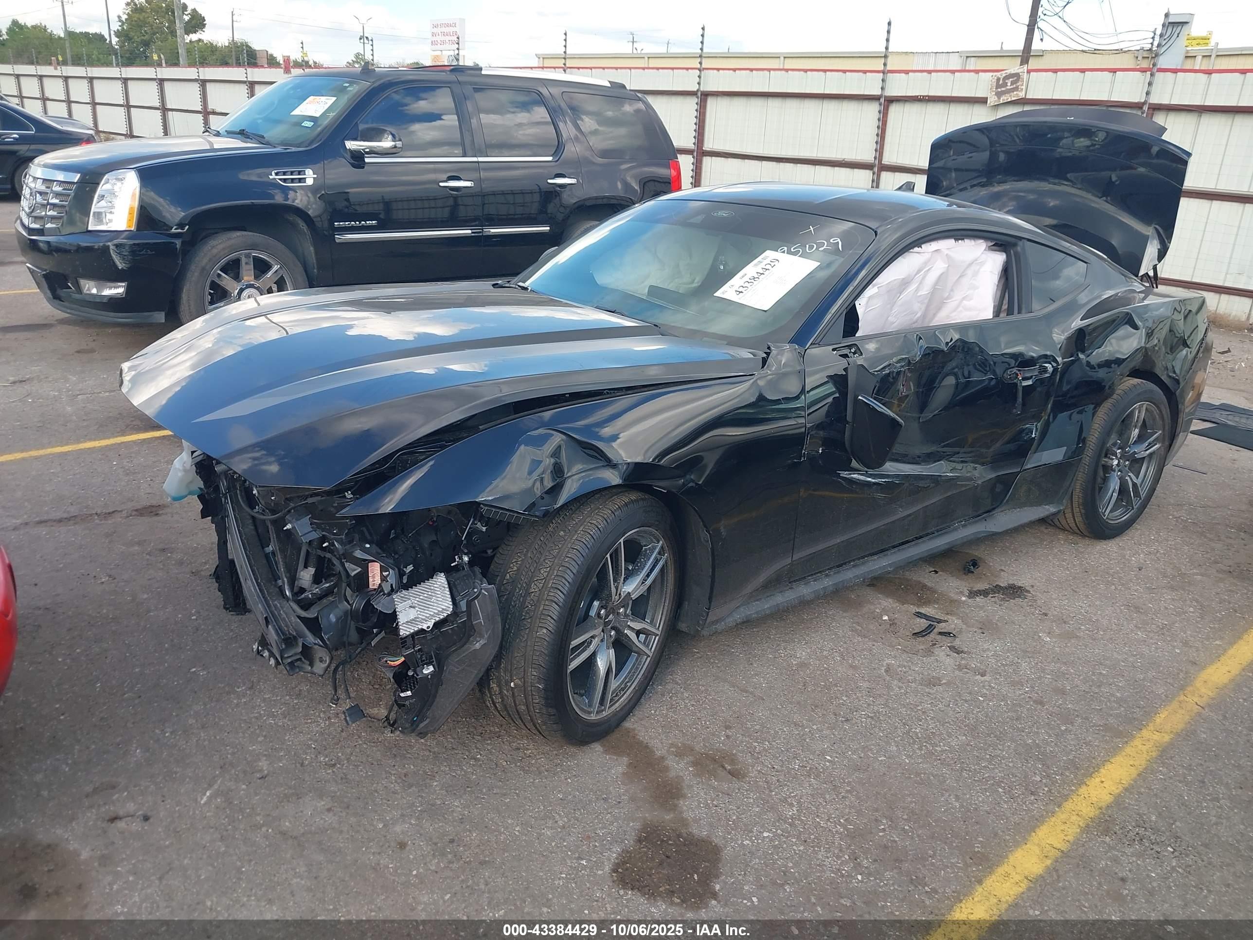FORD MUSTANG image 2