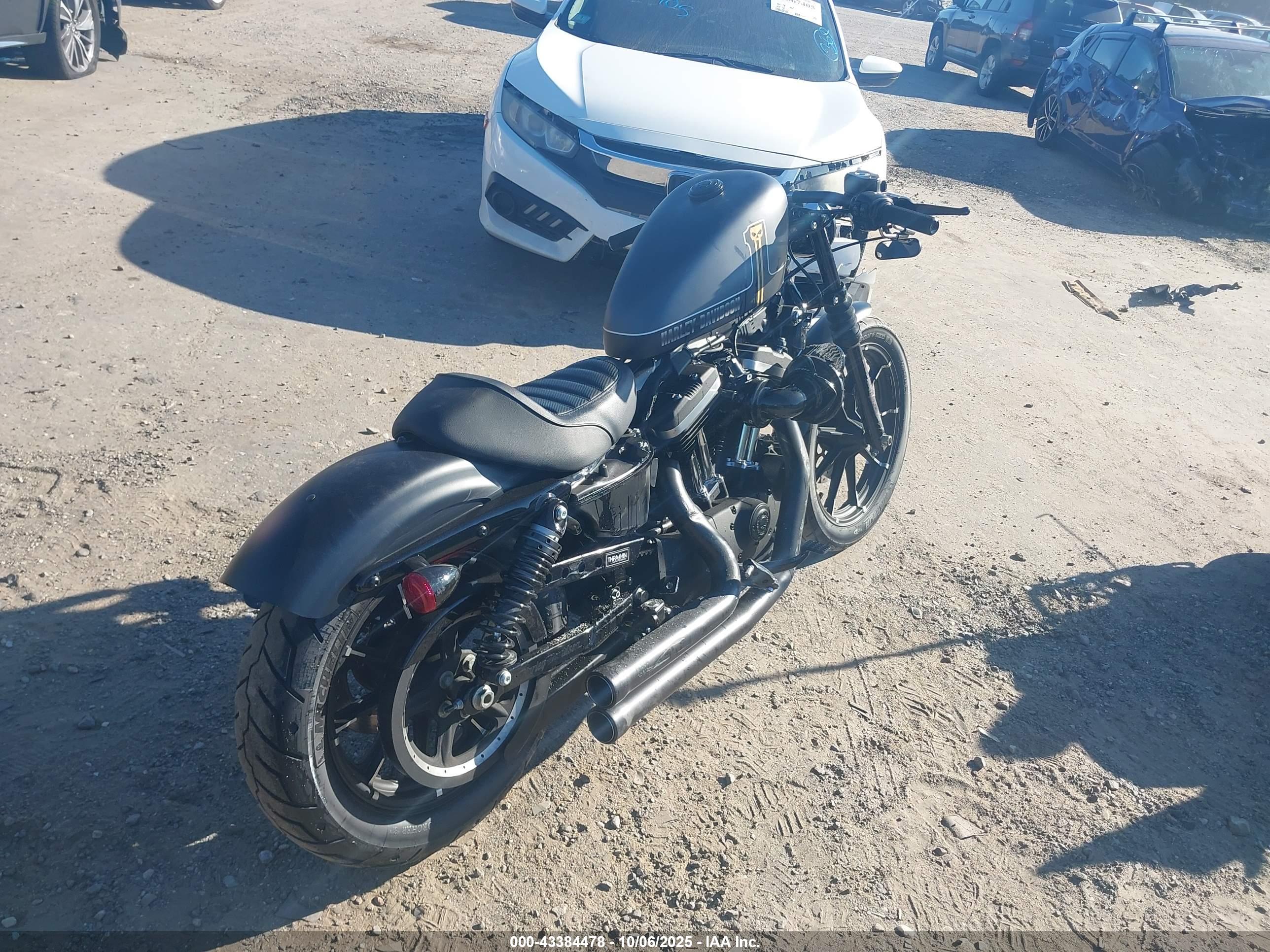 HARLEY-DAVIDSON XL883 image 4