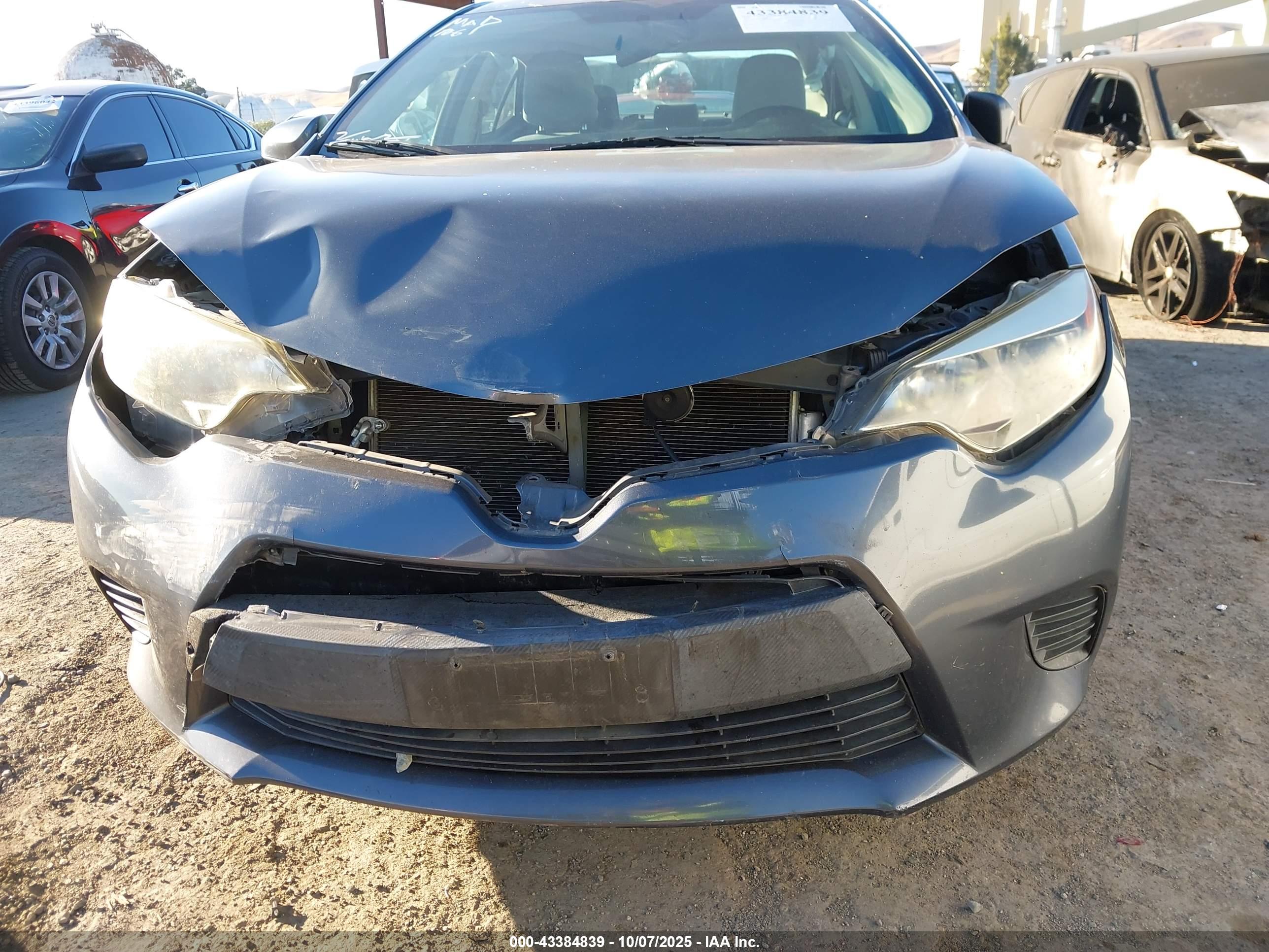 TOYOTA COROLLA image 6
