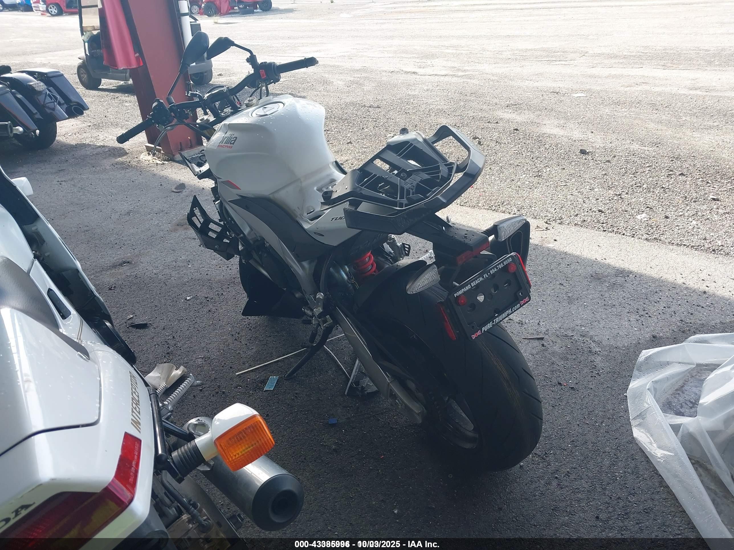 APRILIA TUONO image 3