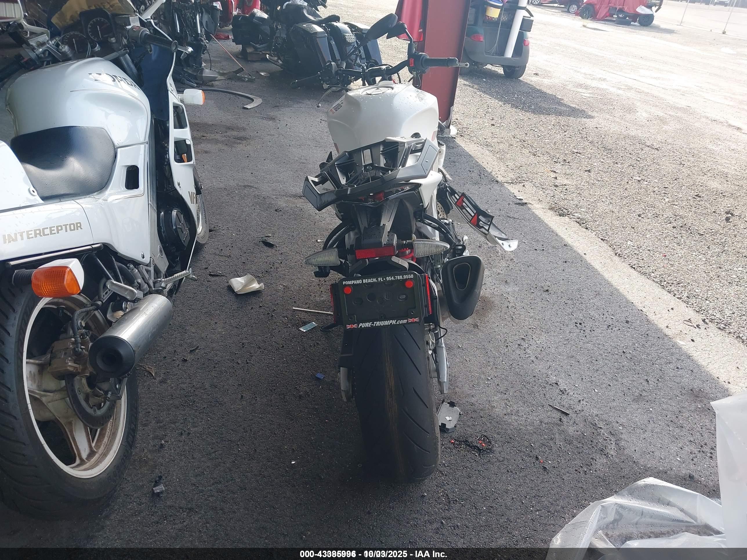 APRILIA TUONO image 6