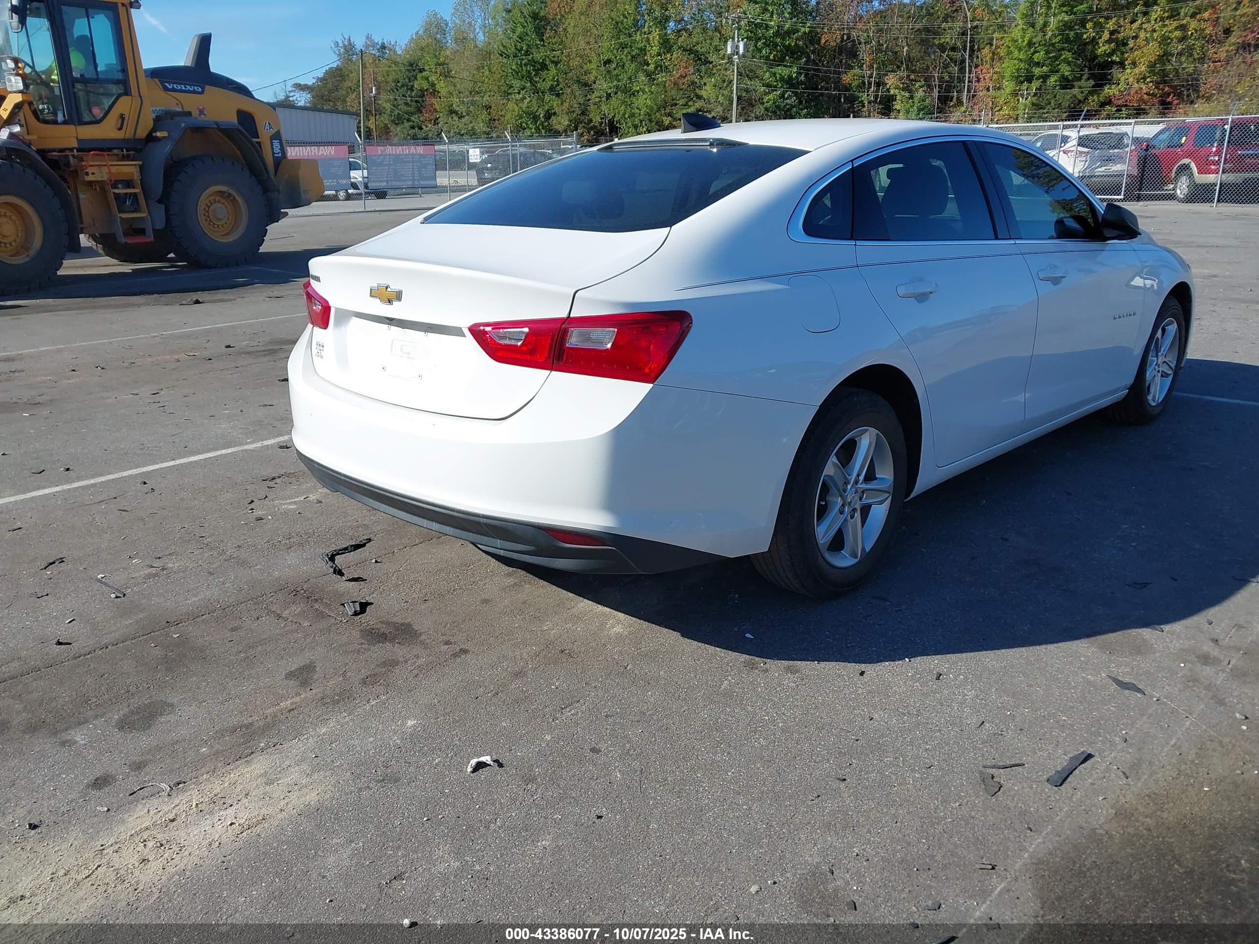 CHEVROLET MALIBU image 4