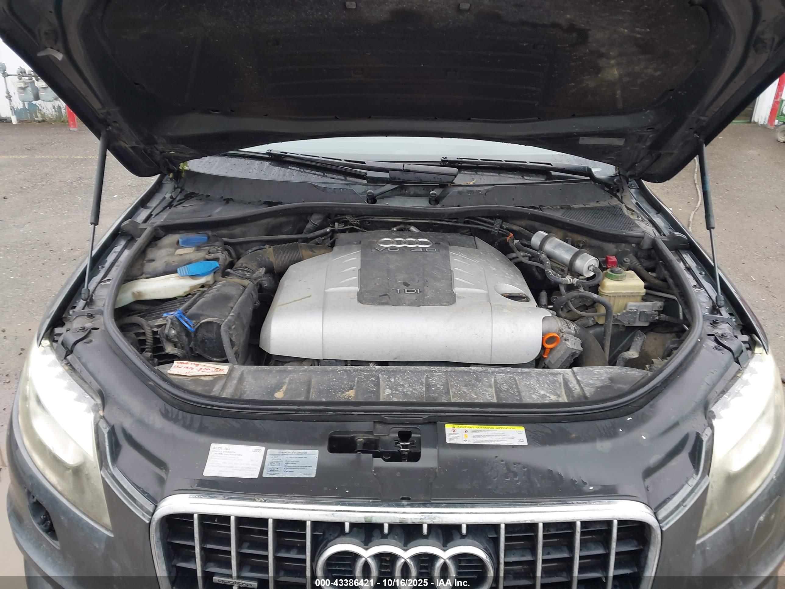 AUDI Q7 image 10
