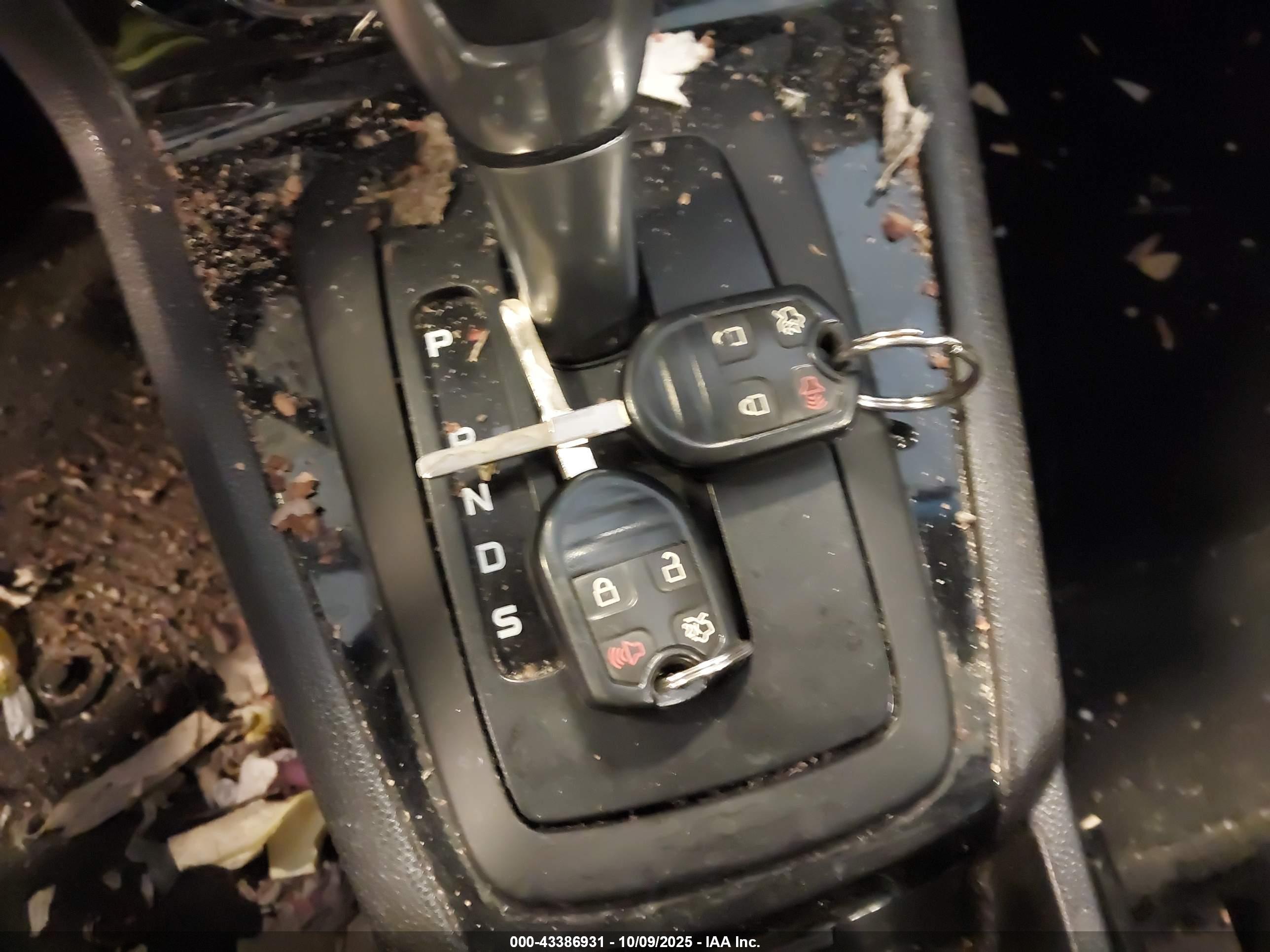 FORD FIESTA image 11