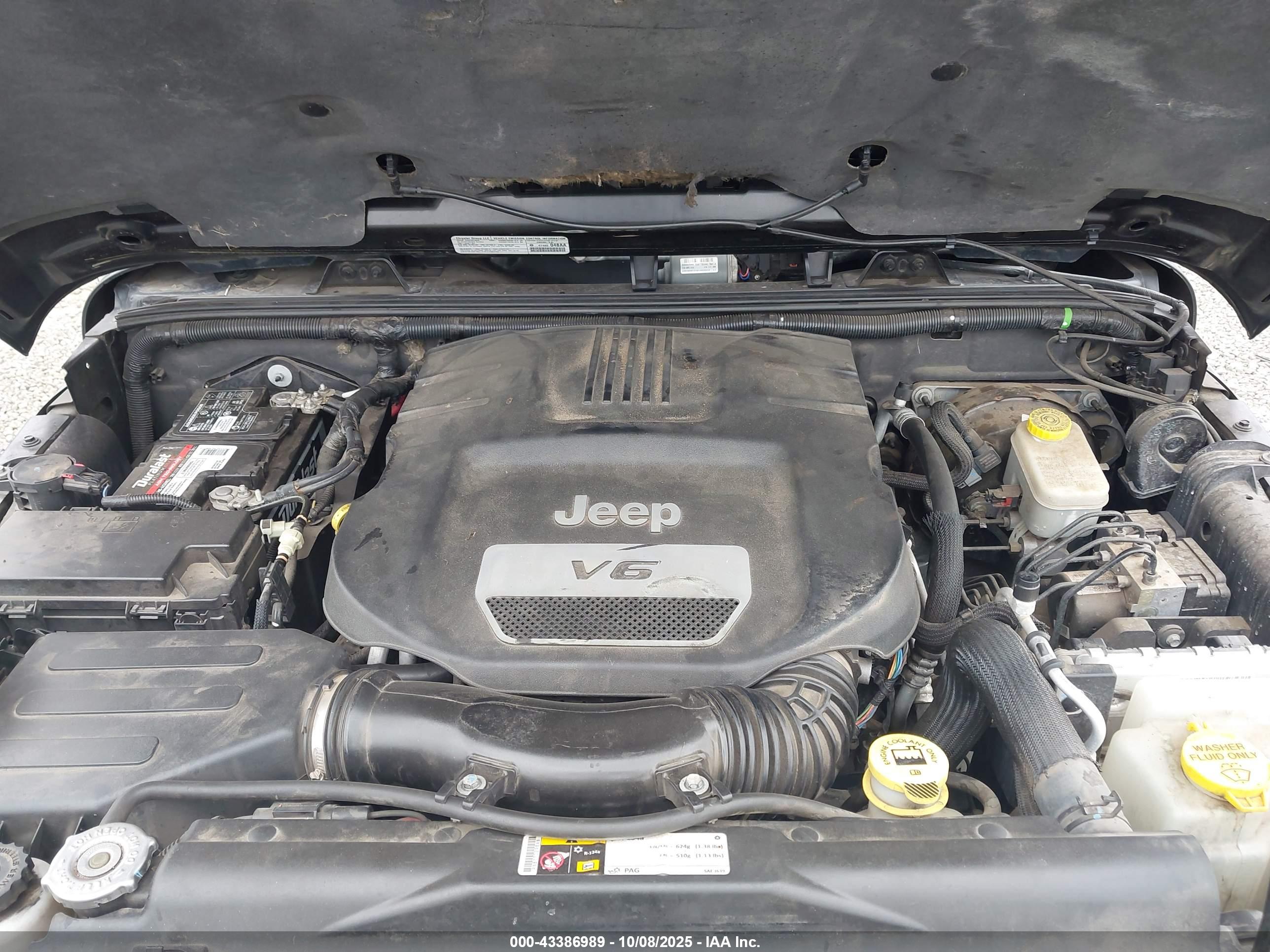JEEP WRANGLER image 10