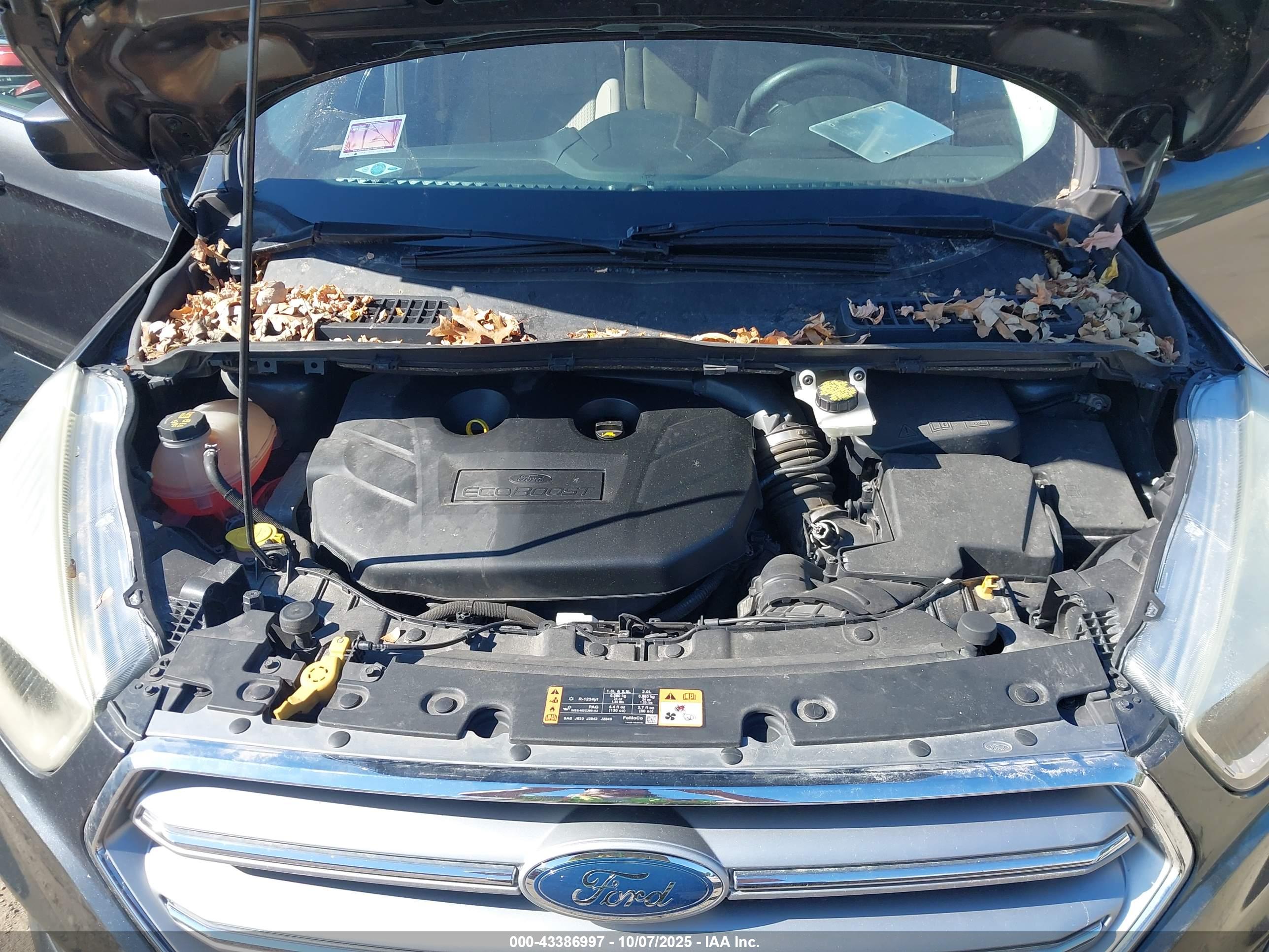 FORD ESCAPE image 10