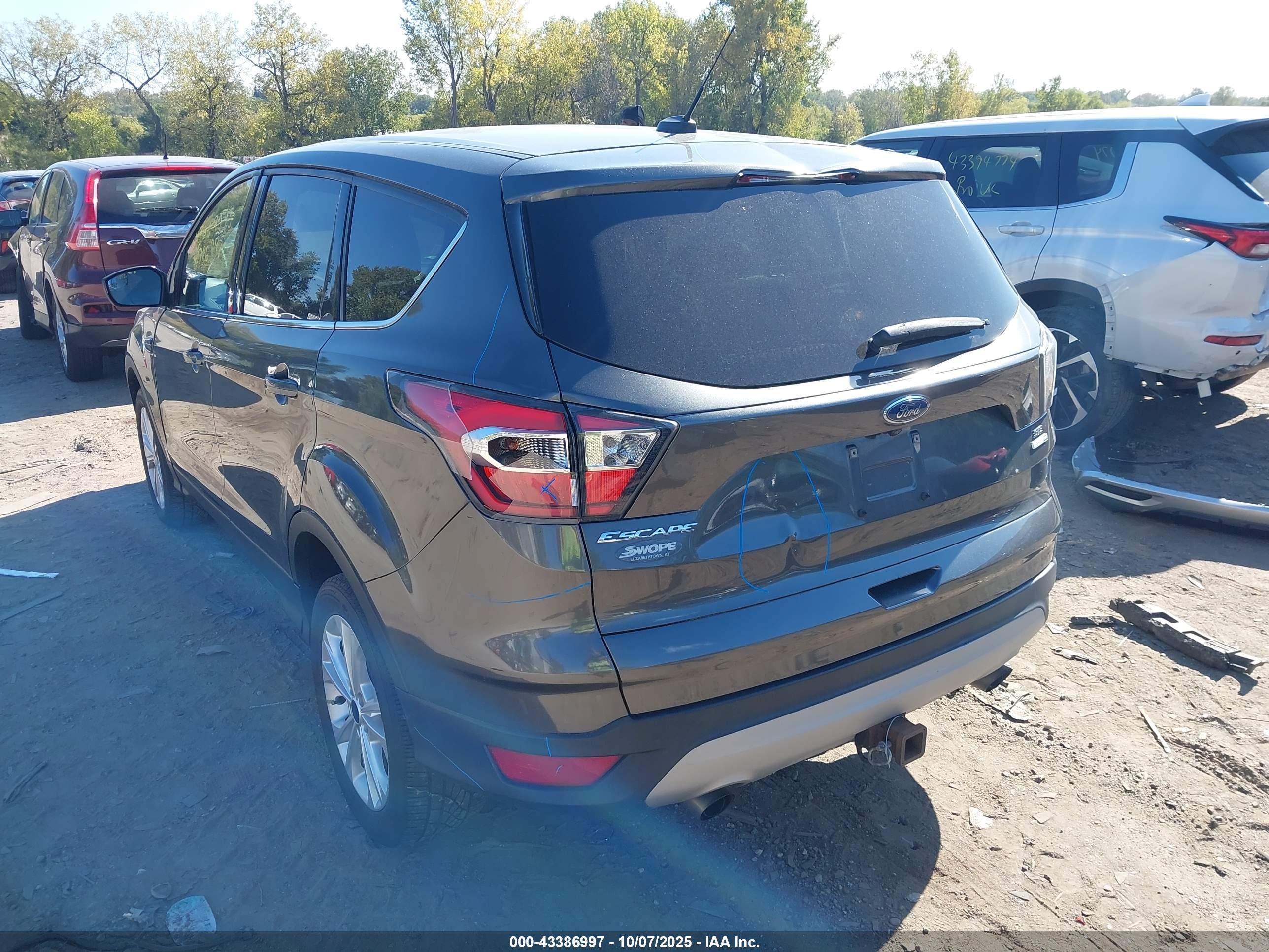 FORD ESCAPE image 6