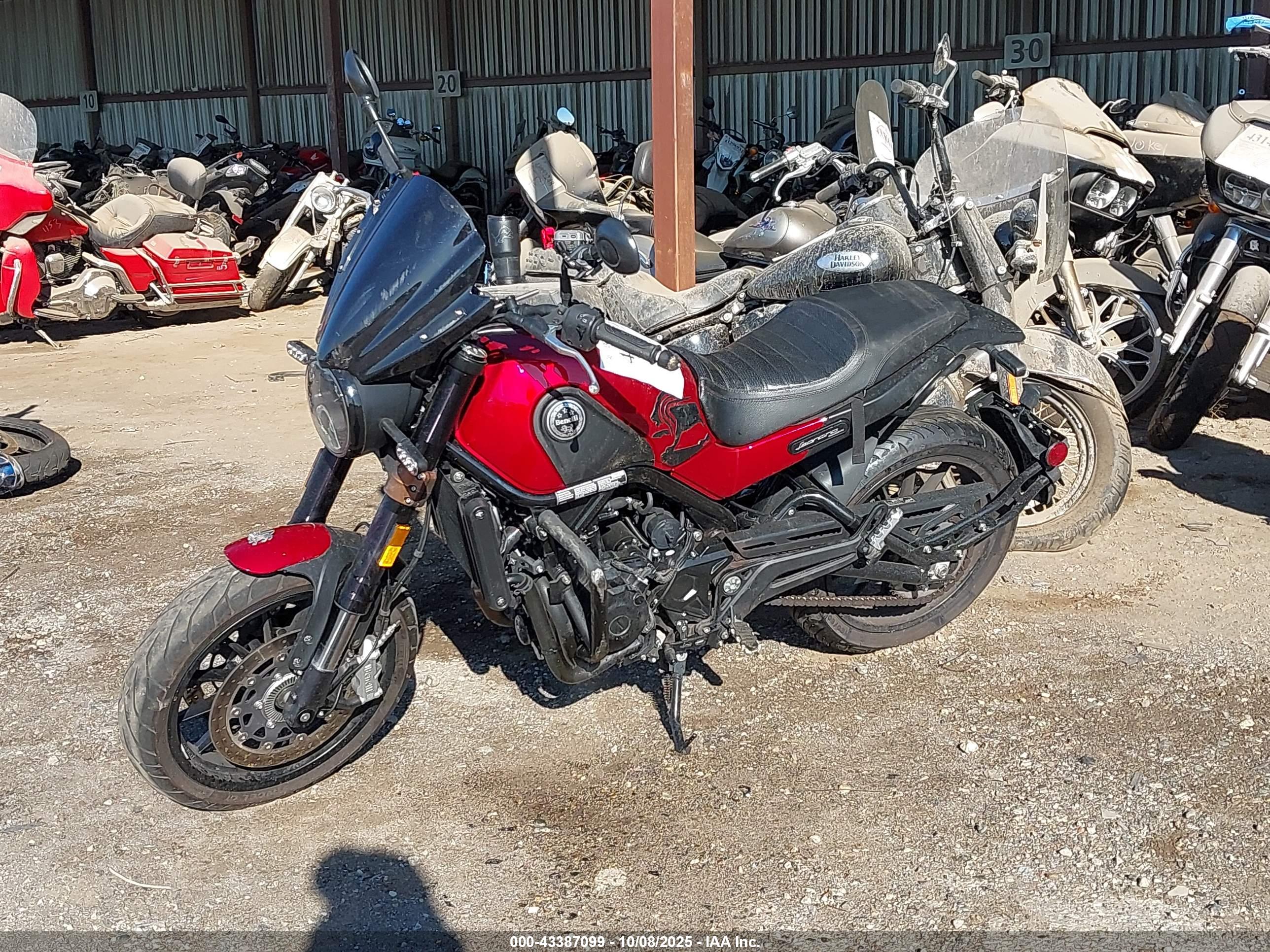 BENELLI LEONCINO image 2