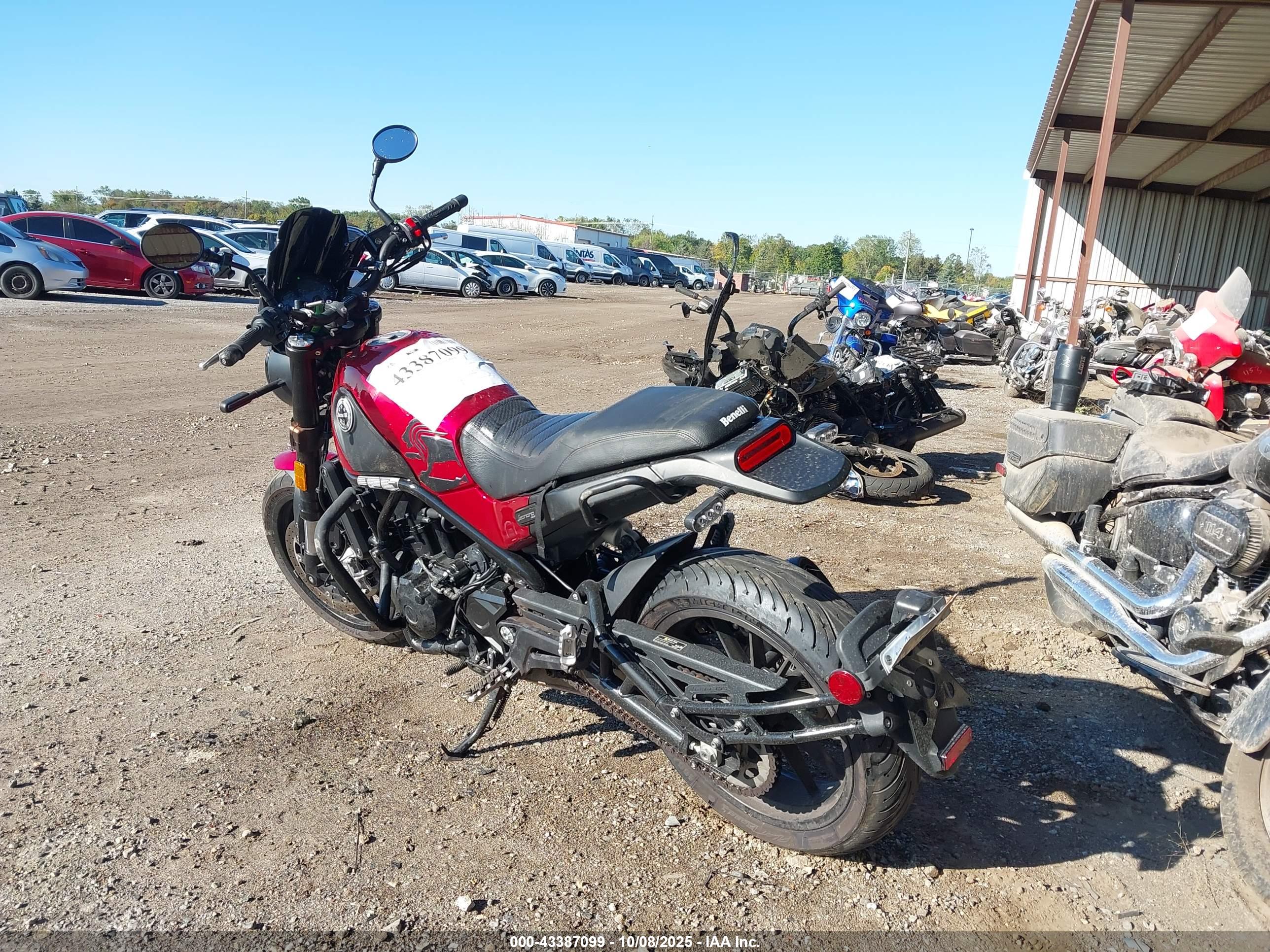 BENELLI LEONCINO image 3