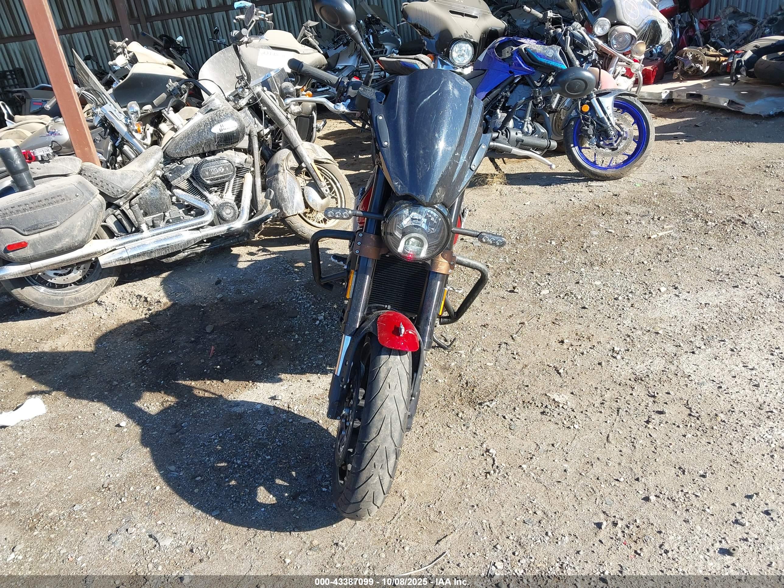BENELLI LEONCINO image 5