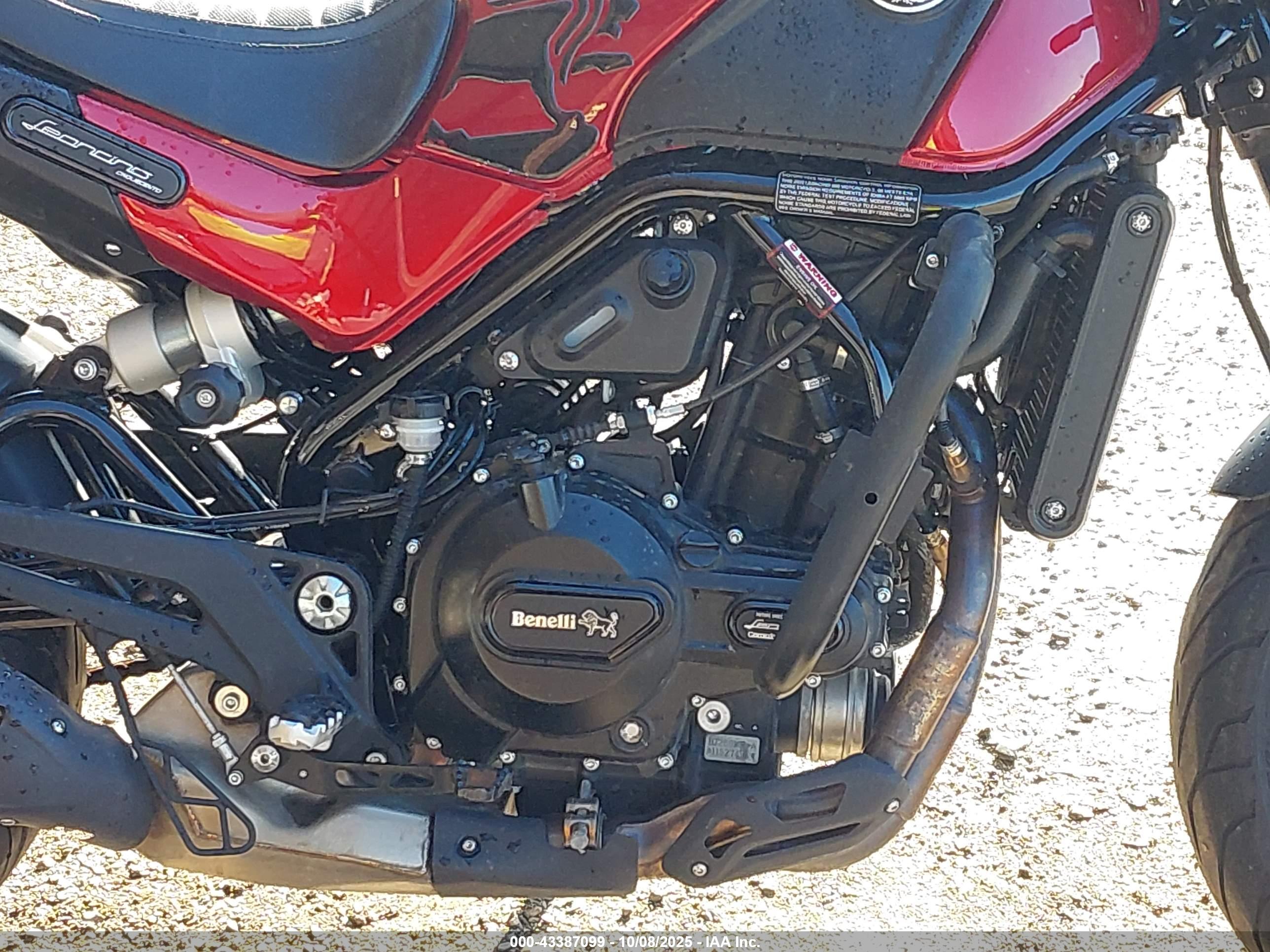 BENELLI LEONCINO image 8