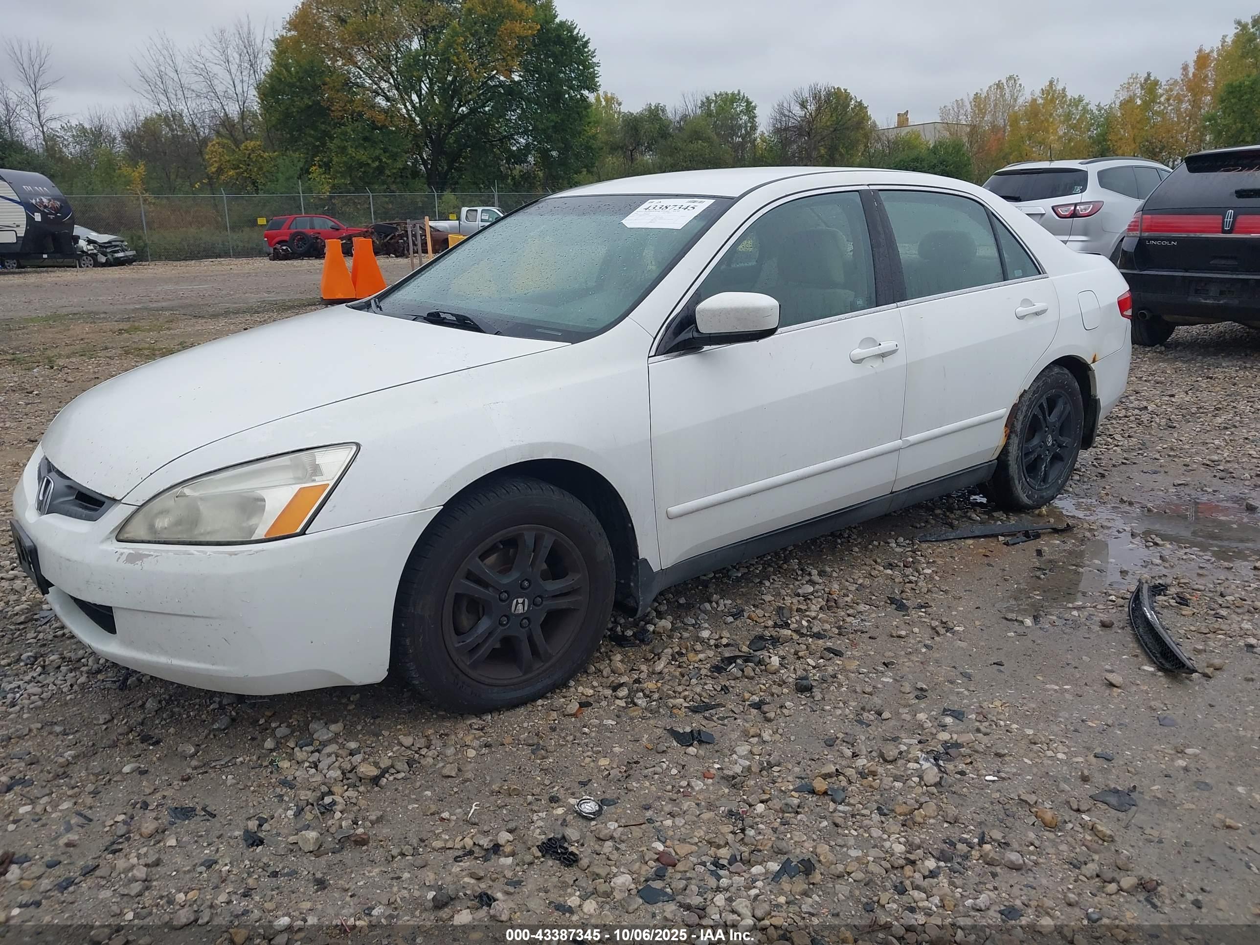 HONDA ACCORD image 2