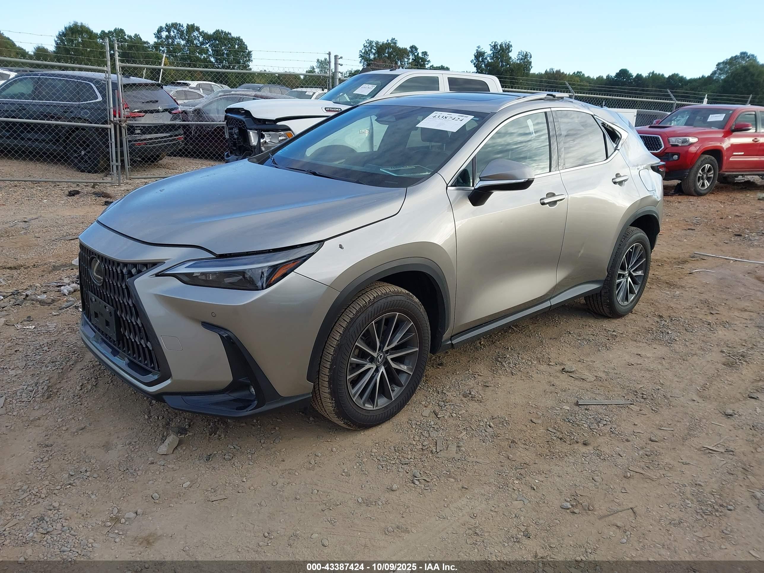 LEXUS NX image 2
