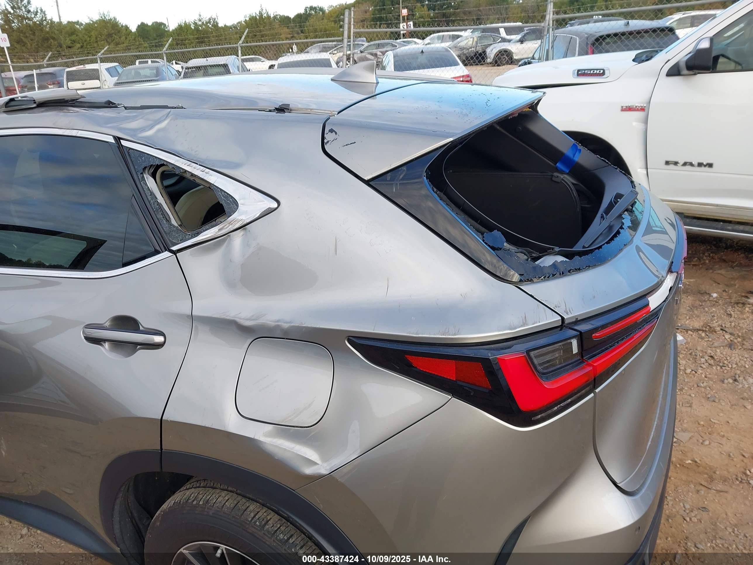 LEXUS NX image 6