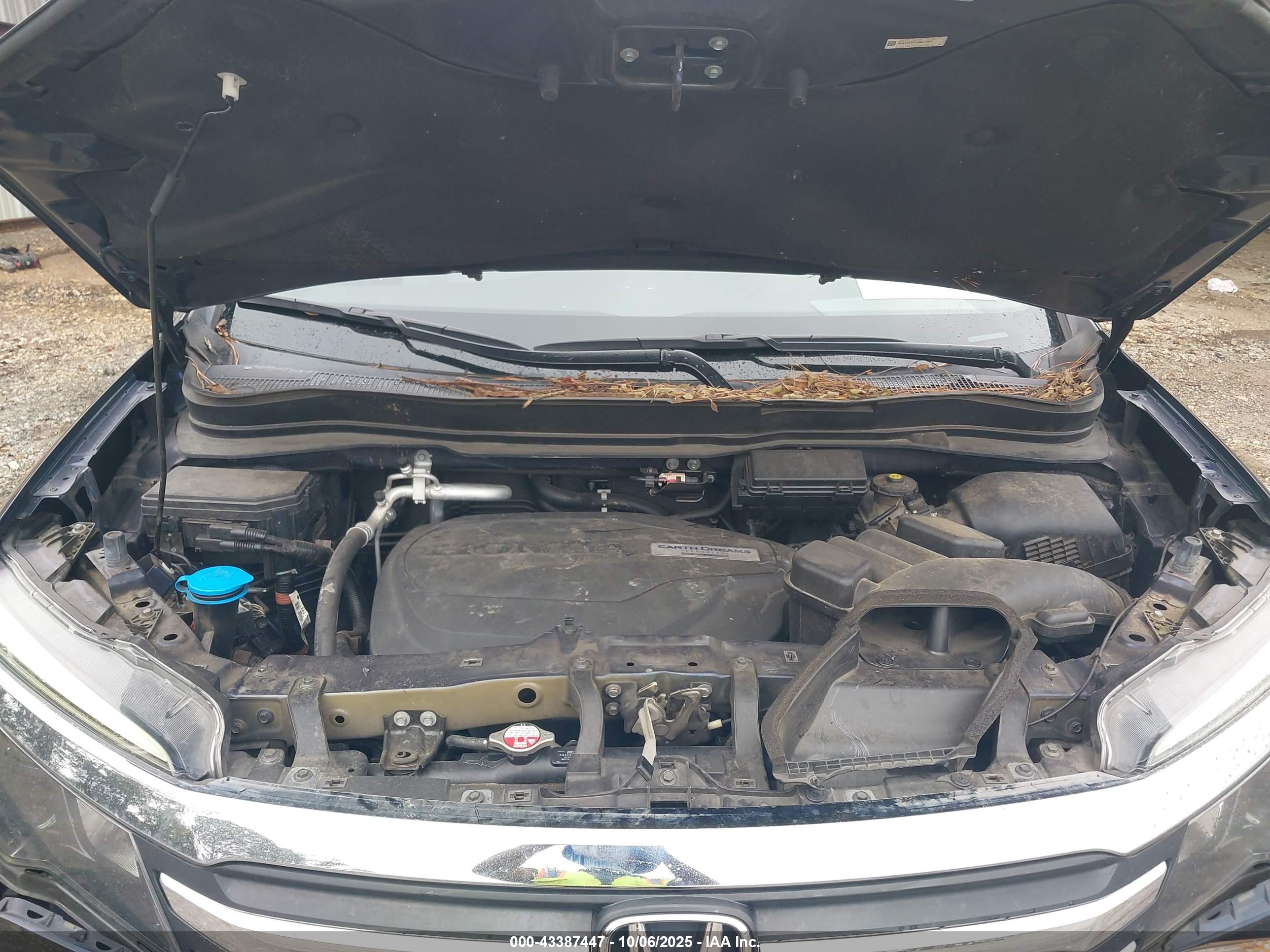 HONDA PILOT image 10