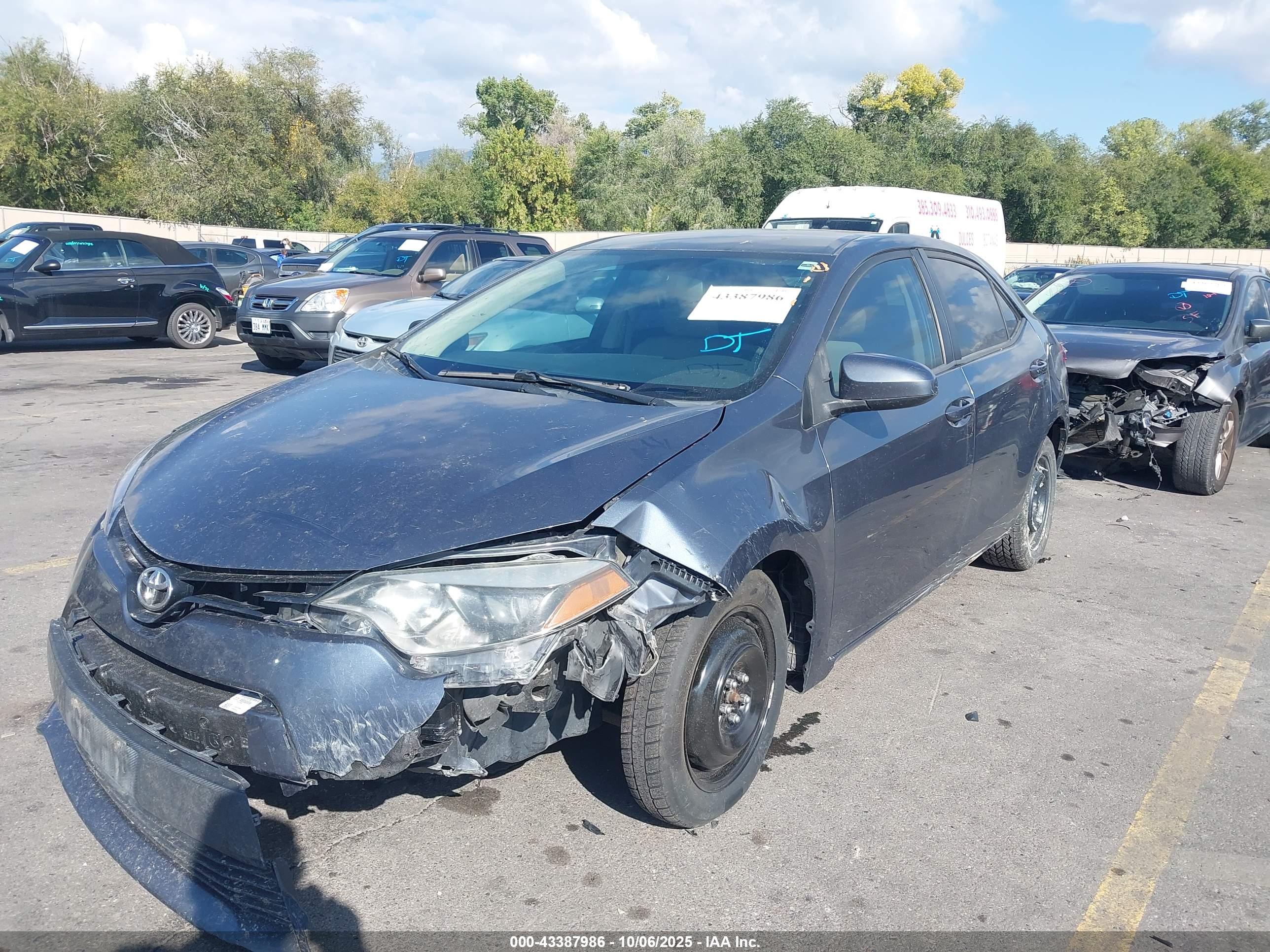 TOYOTA COROLLA image 6
