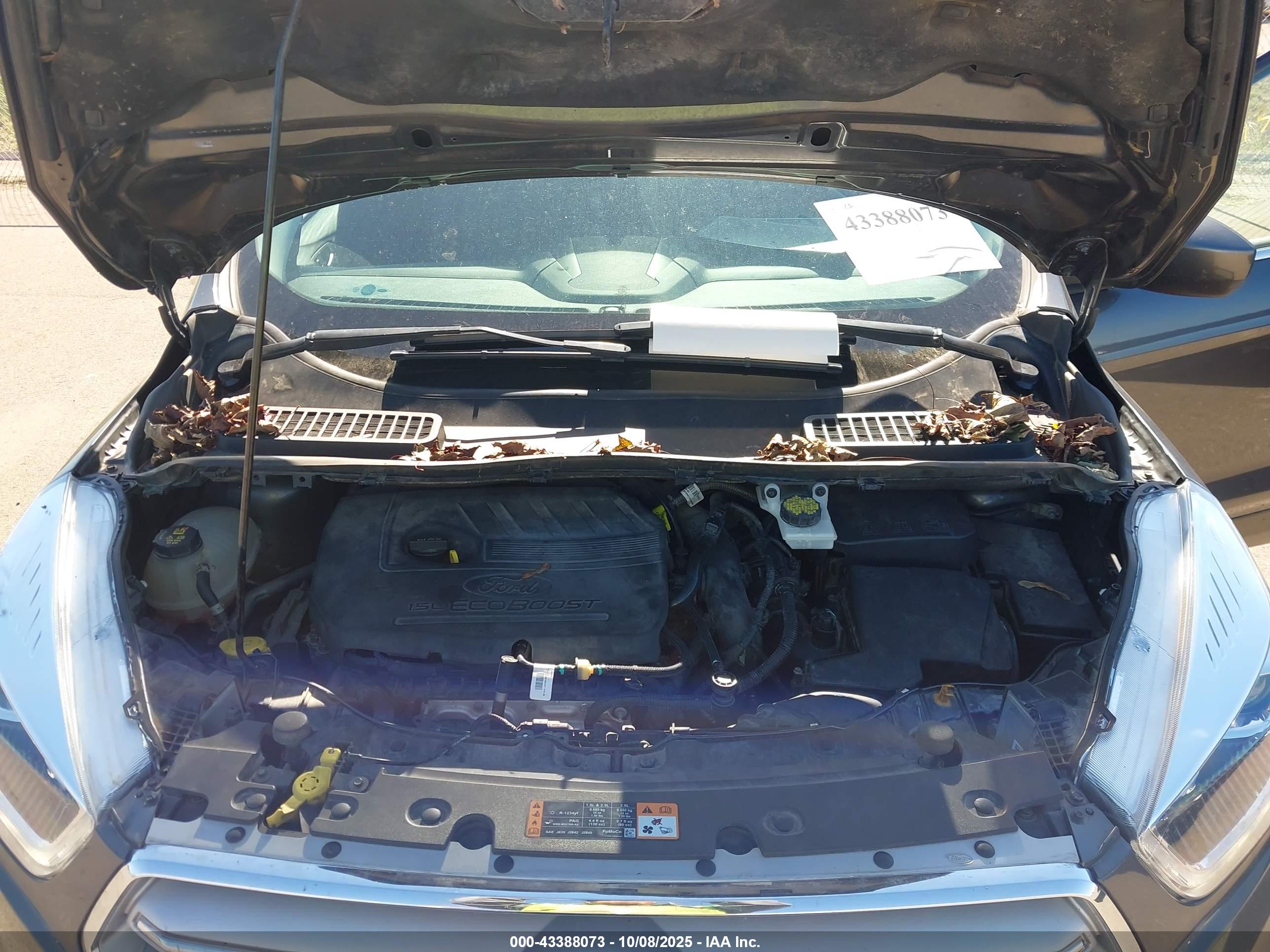 FORD ESCAPE image 10