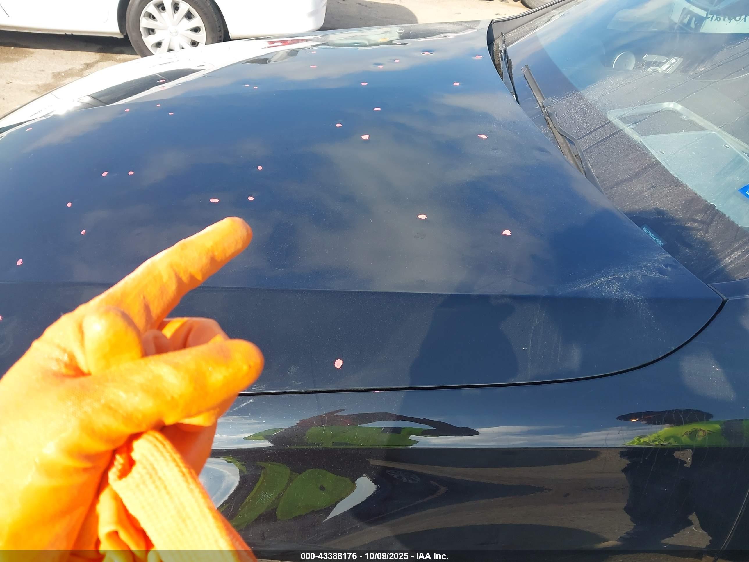 MERCEDES-BENZ E image 6