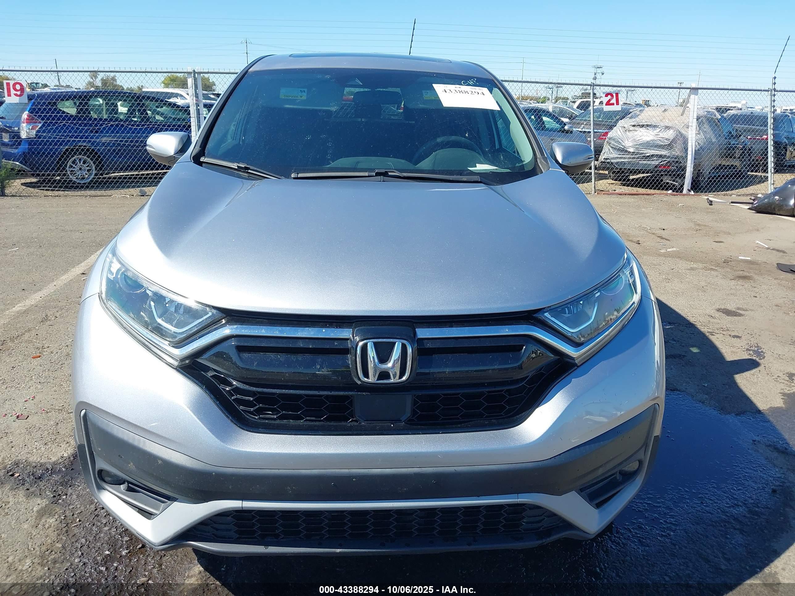 HONDA CR-V image 6
