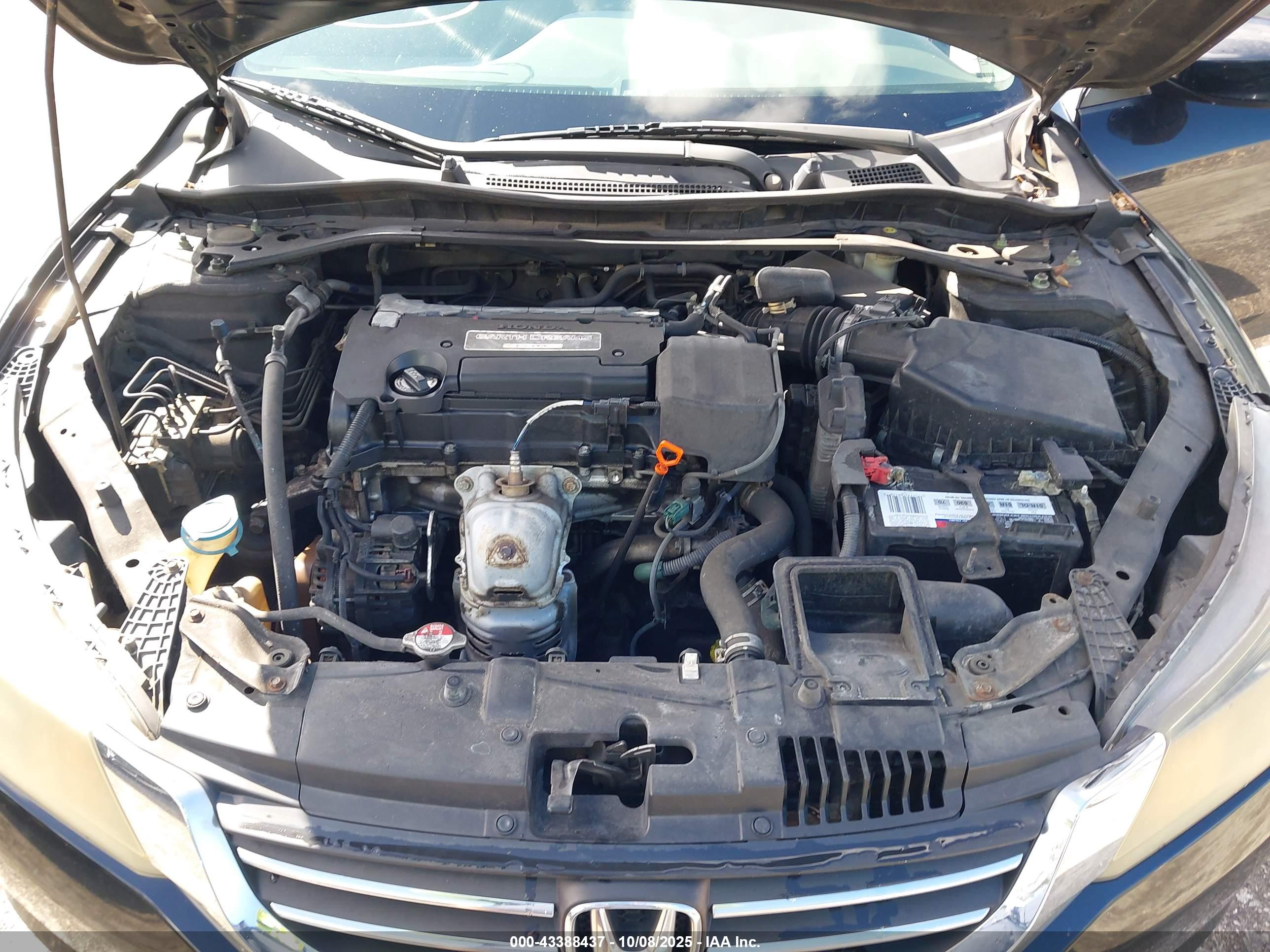 HONDA ACCORD image 10