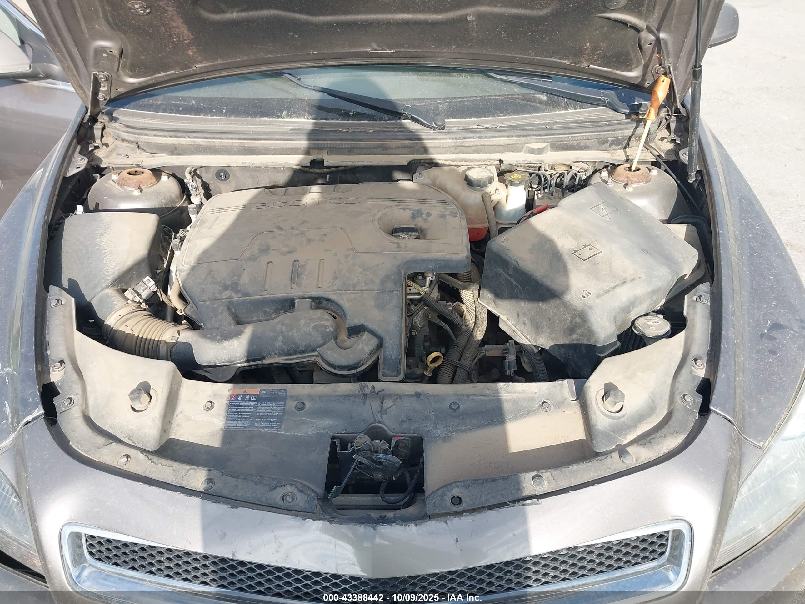 CHEVROLET MALIBU image 10