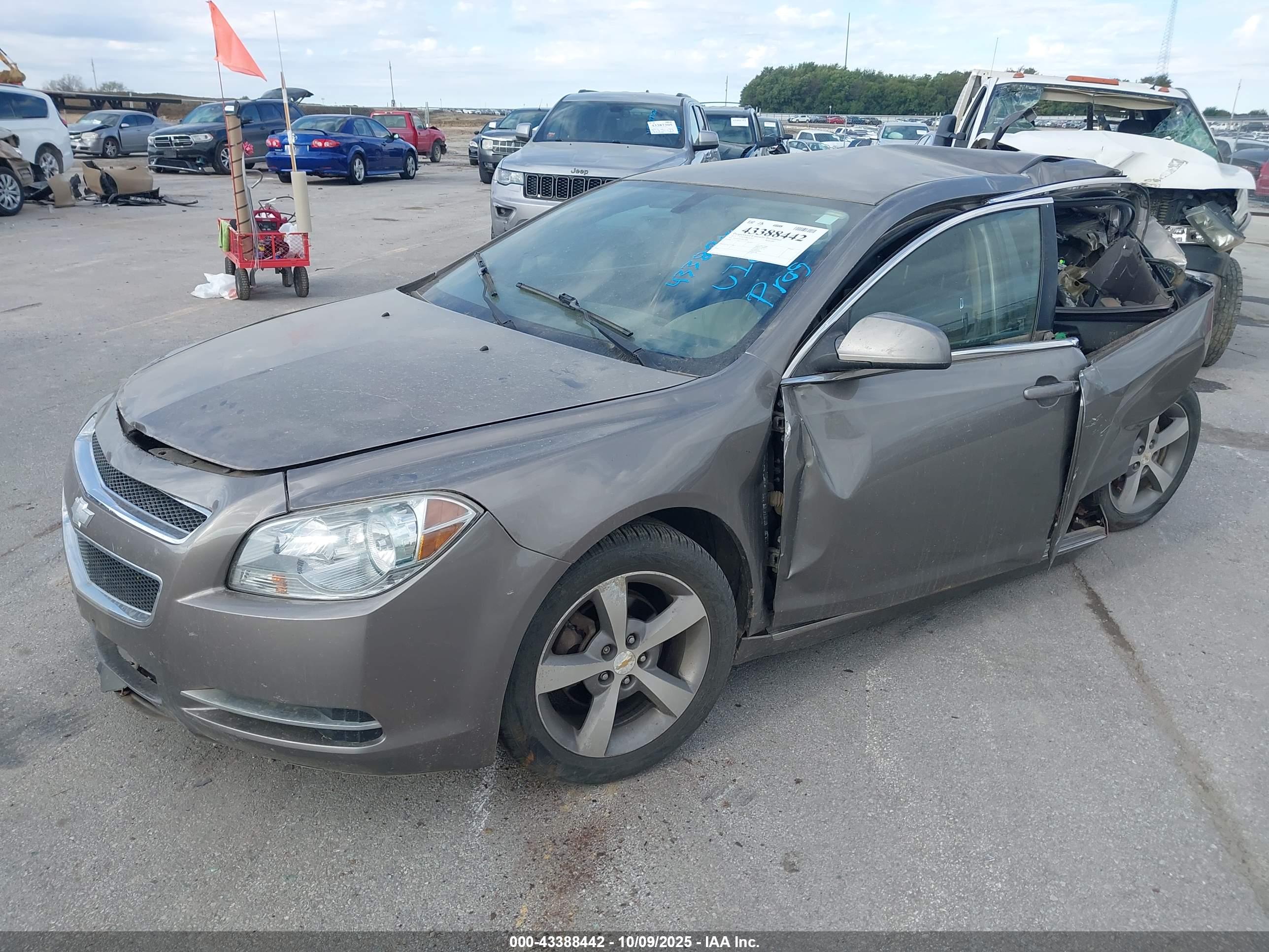 CHEVROLET MALIBU image 2