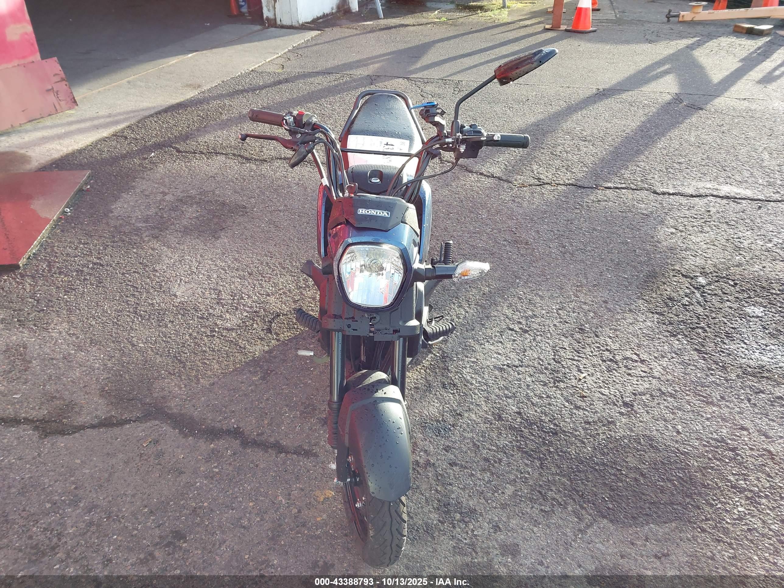 HONDA NVA110 image 5