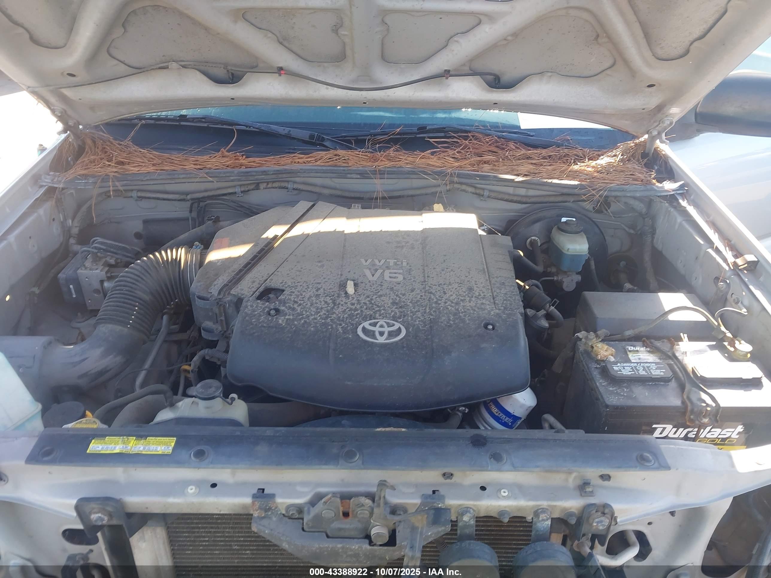 TOYOTA TACOMA image 10