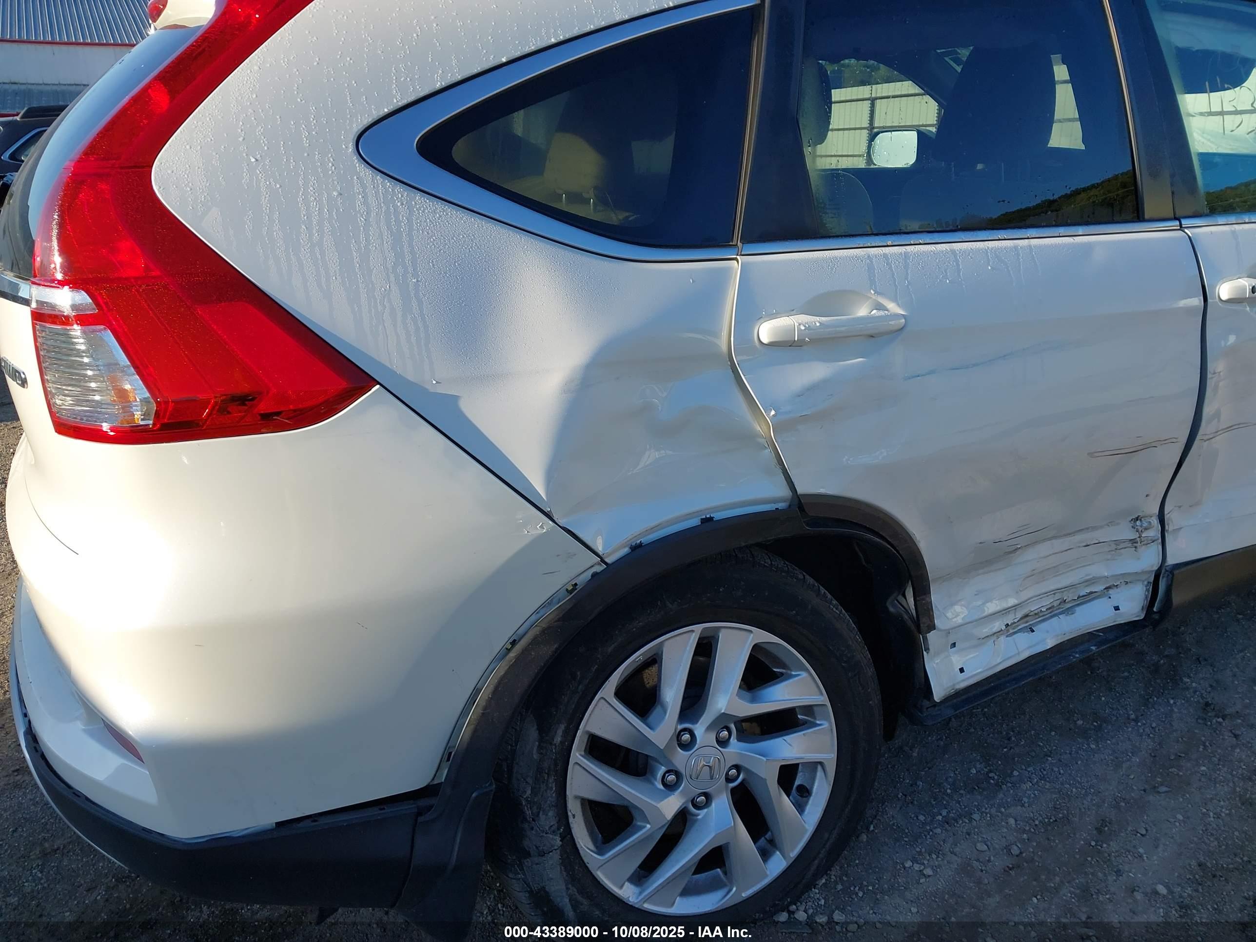 HONDA CR-V image 6