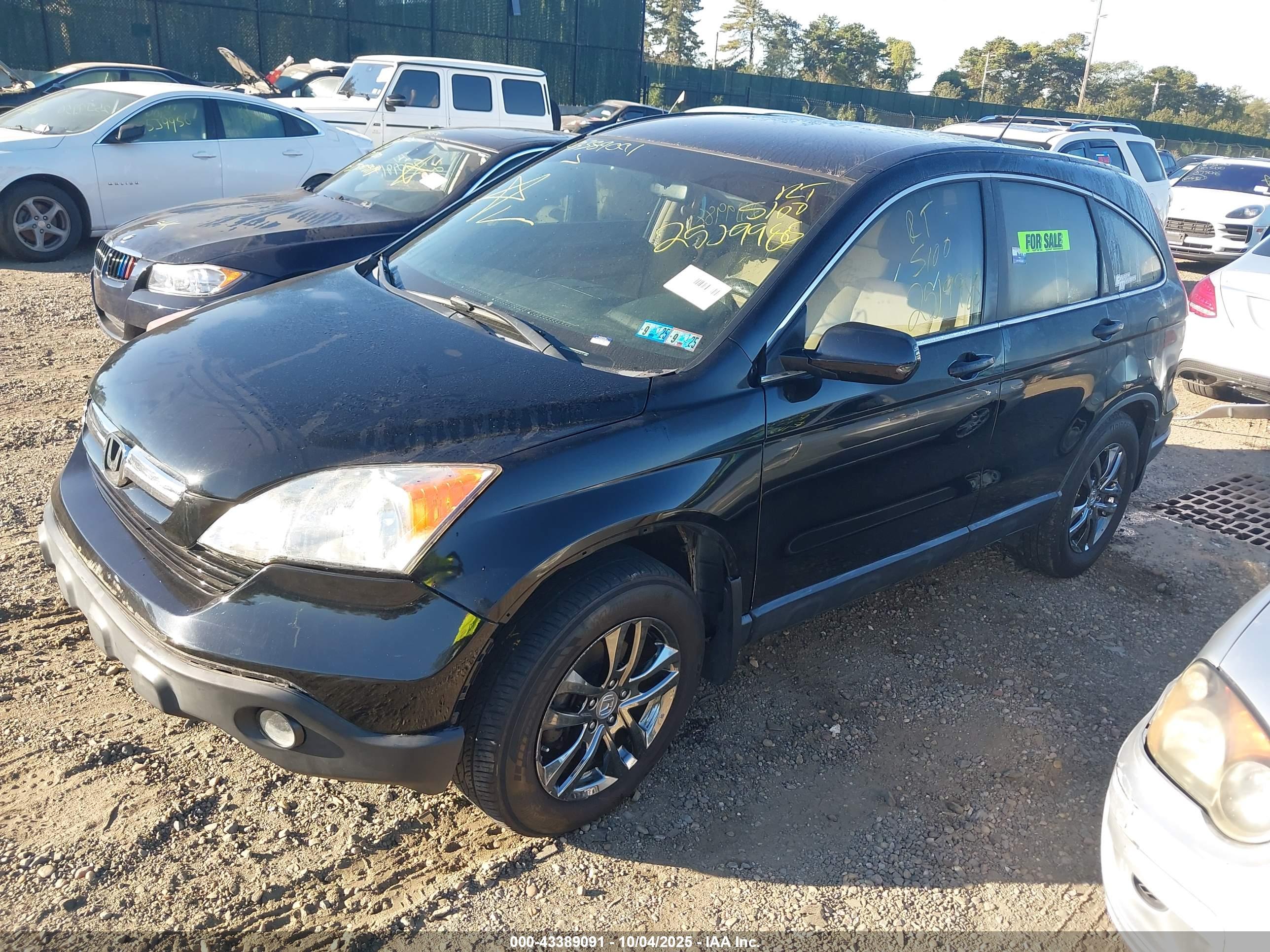 HONDA CR-V image 2