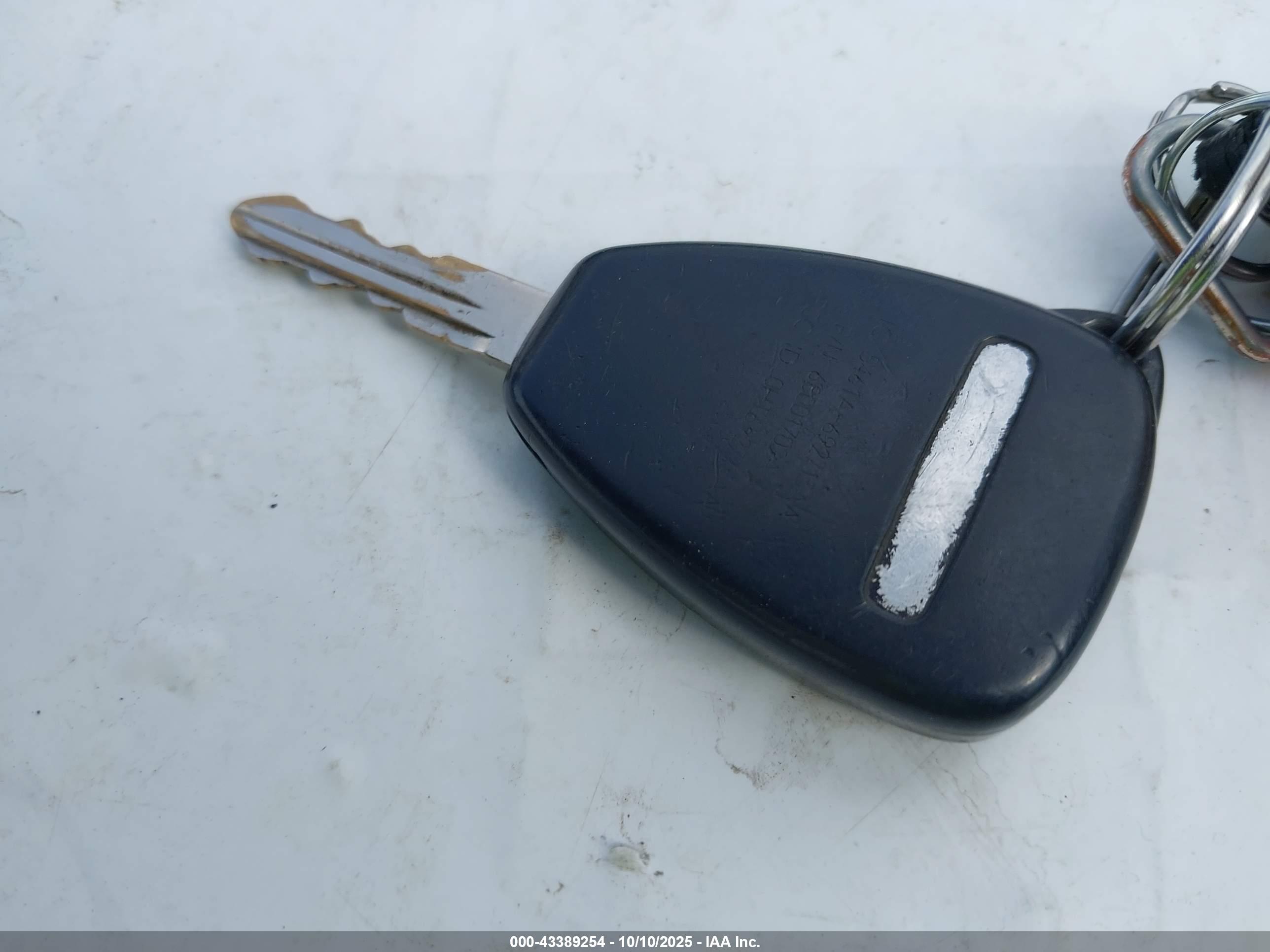 JEEP WRANGLER image 11