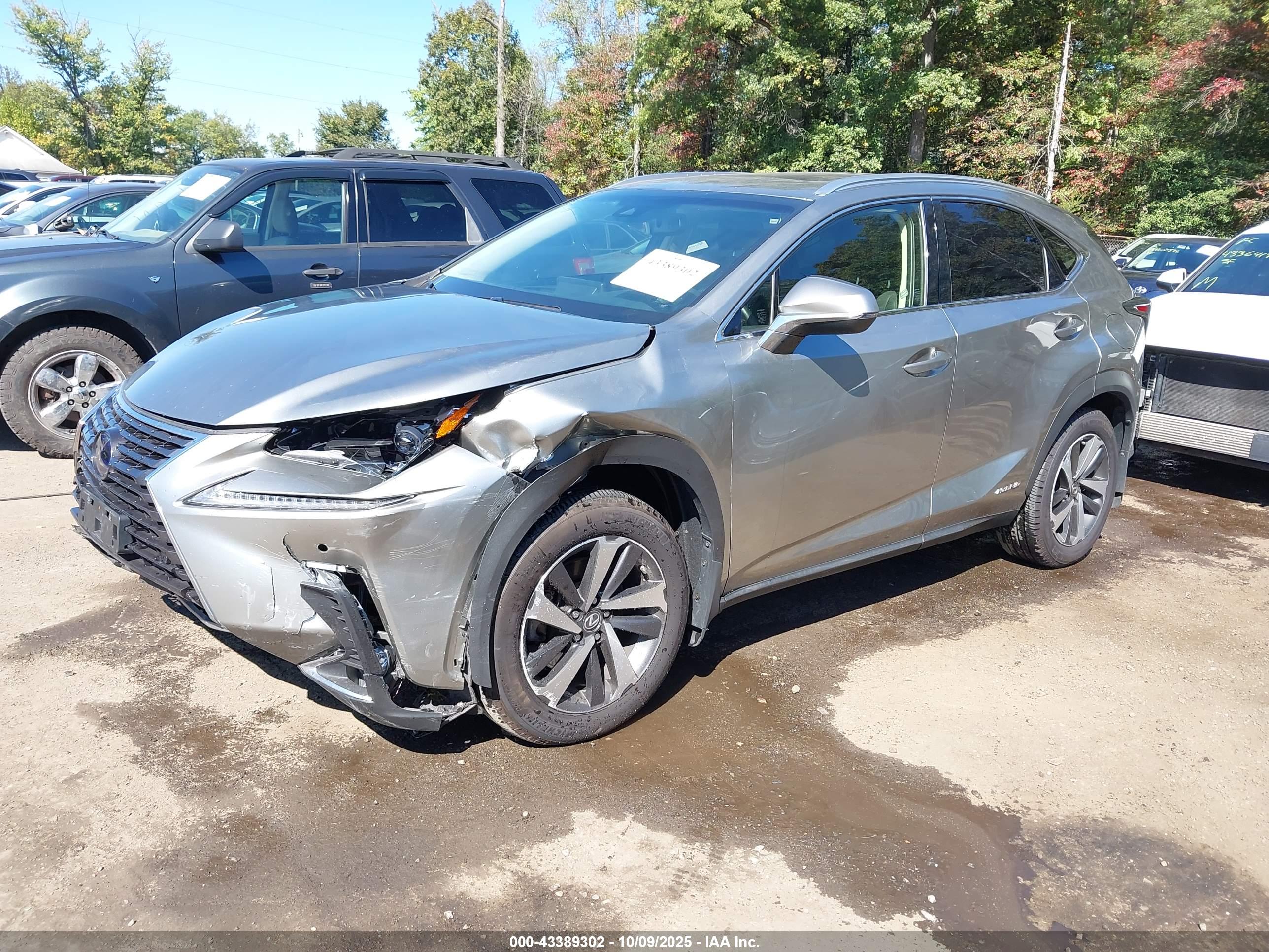 LEXUS NX image 2