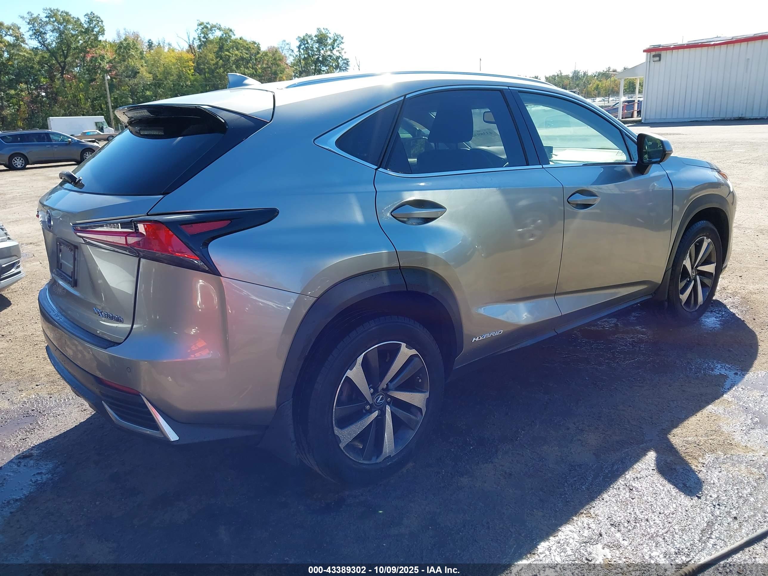 LEXUS NX image 4