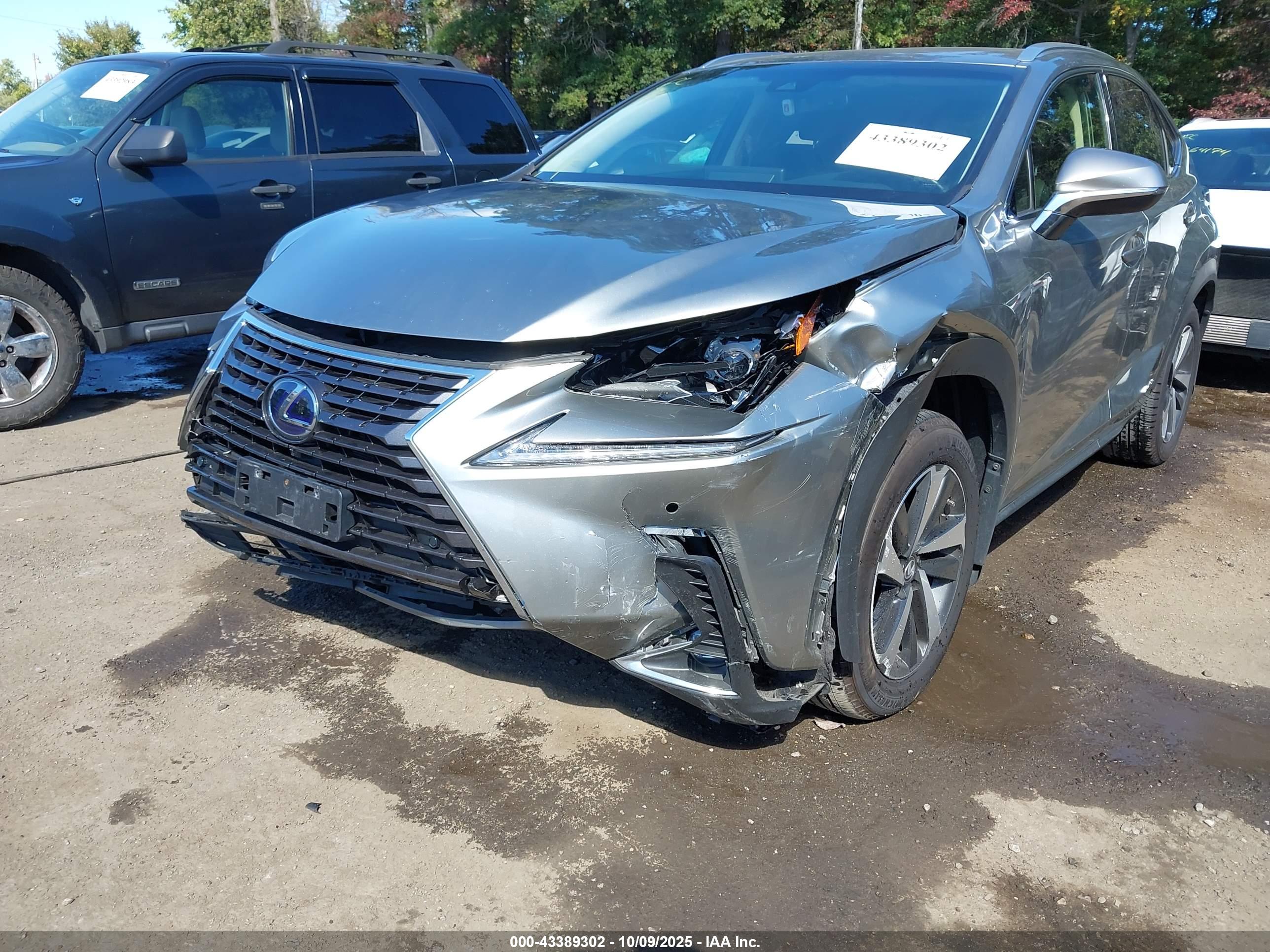 LEXUS NX image 6