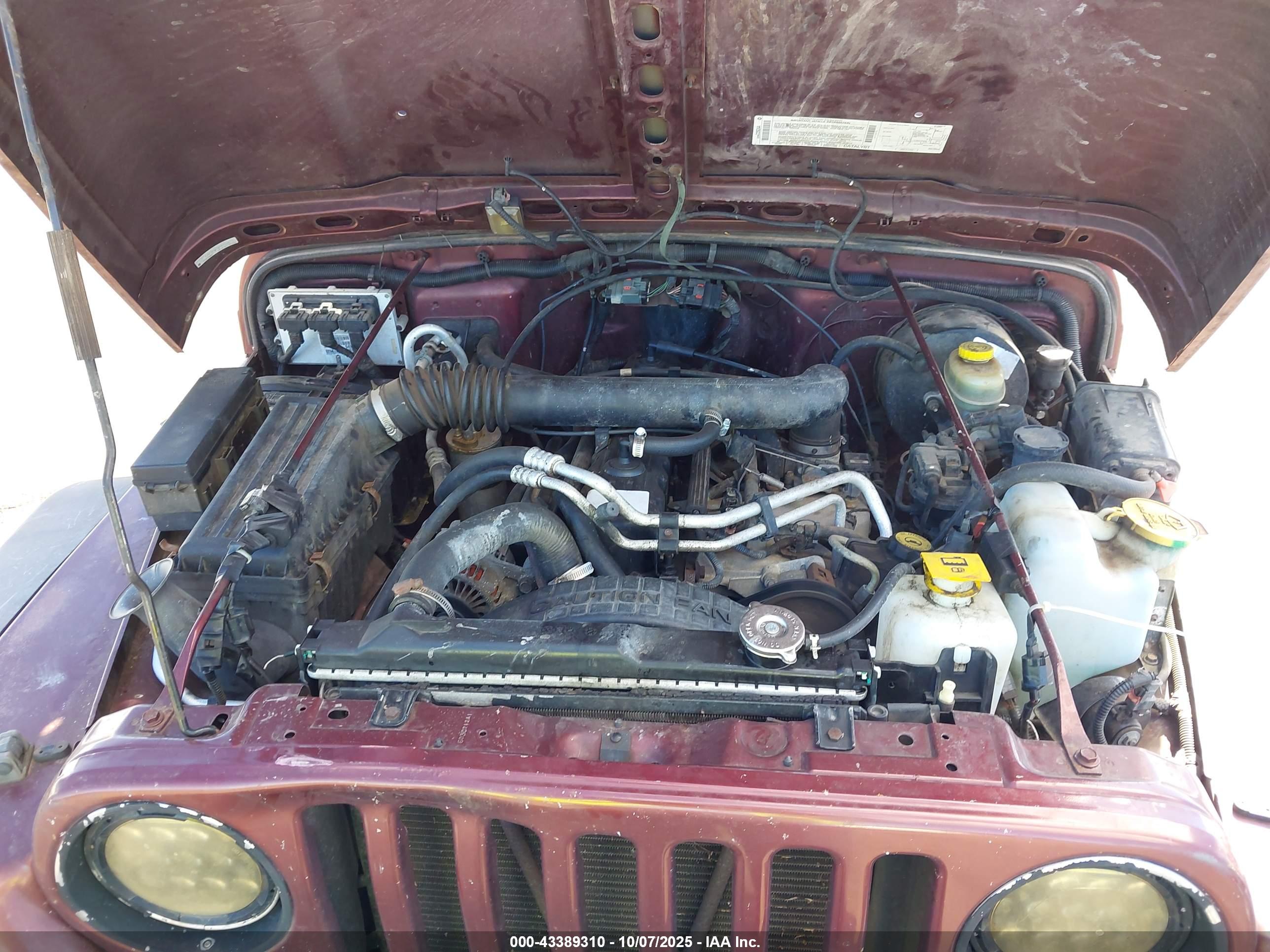 JEEP WRANGLER image 10