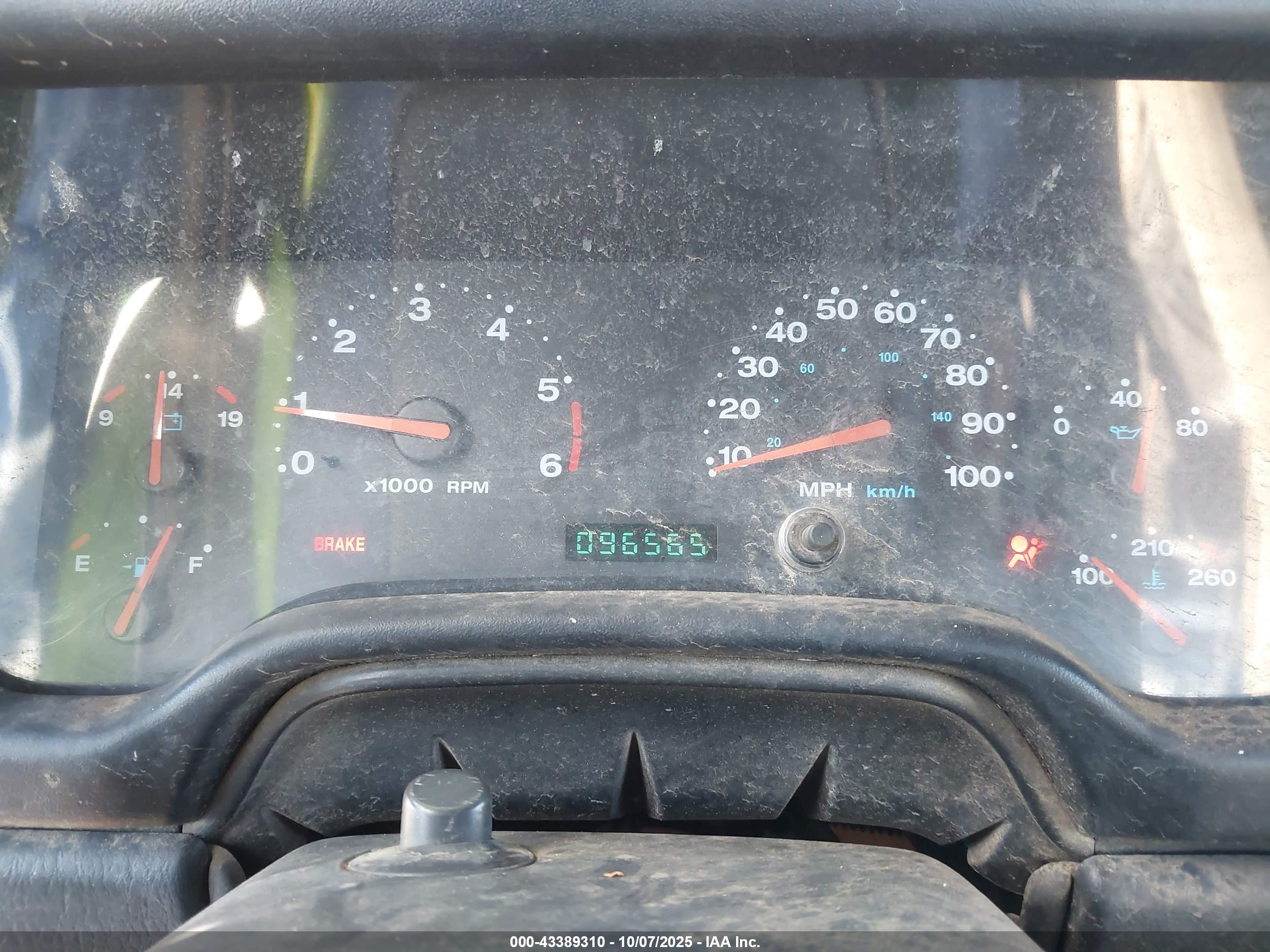 JEEP WRANGLER image 7