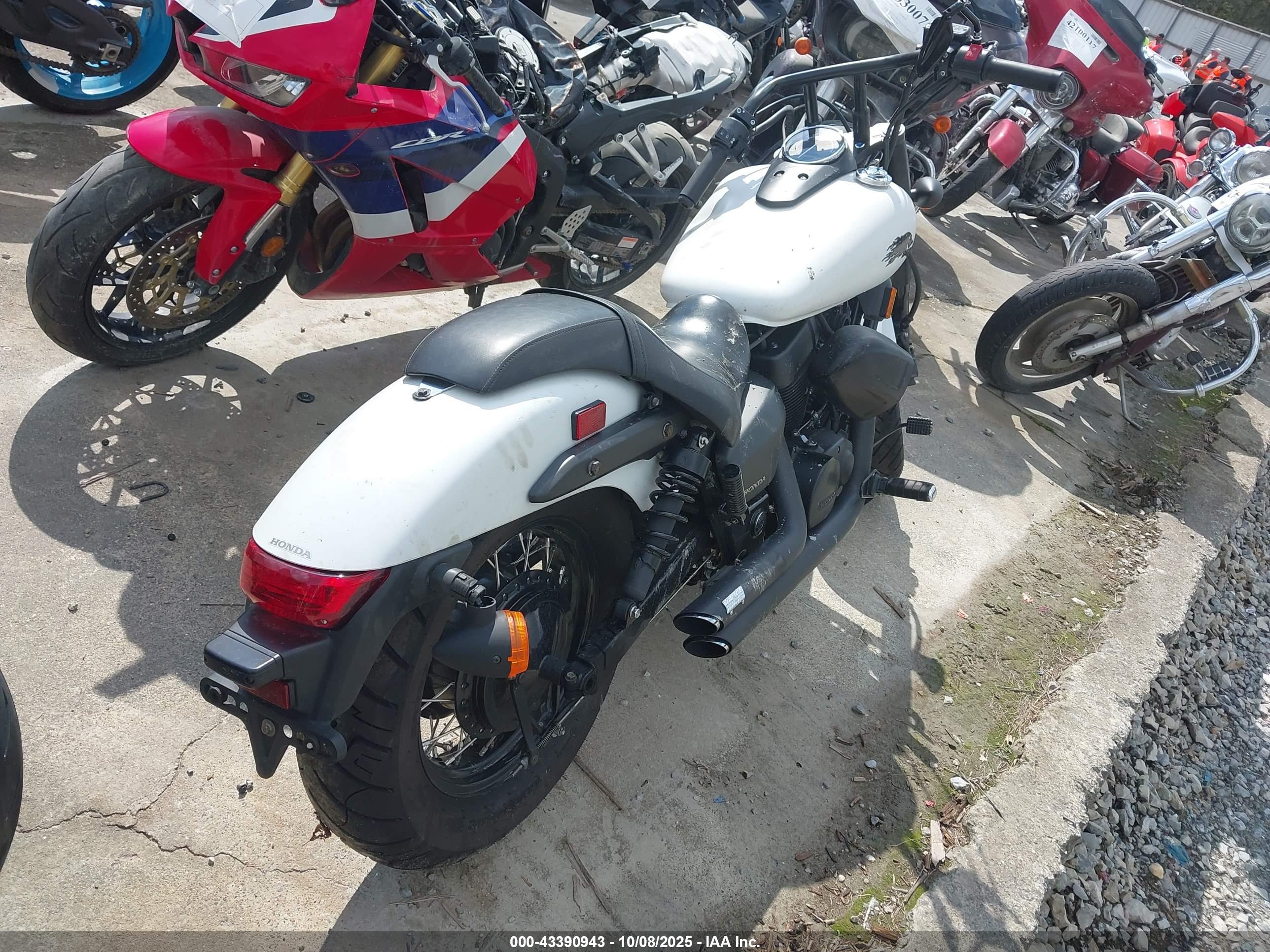 HONDA VT750 image 4
